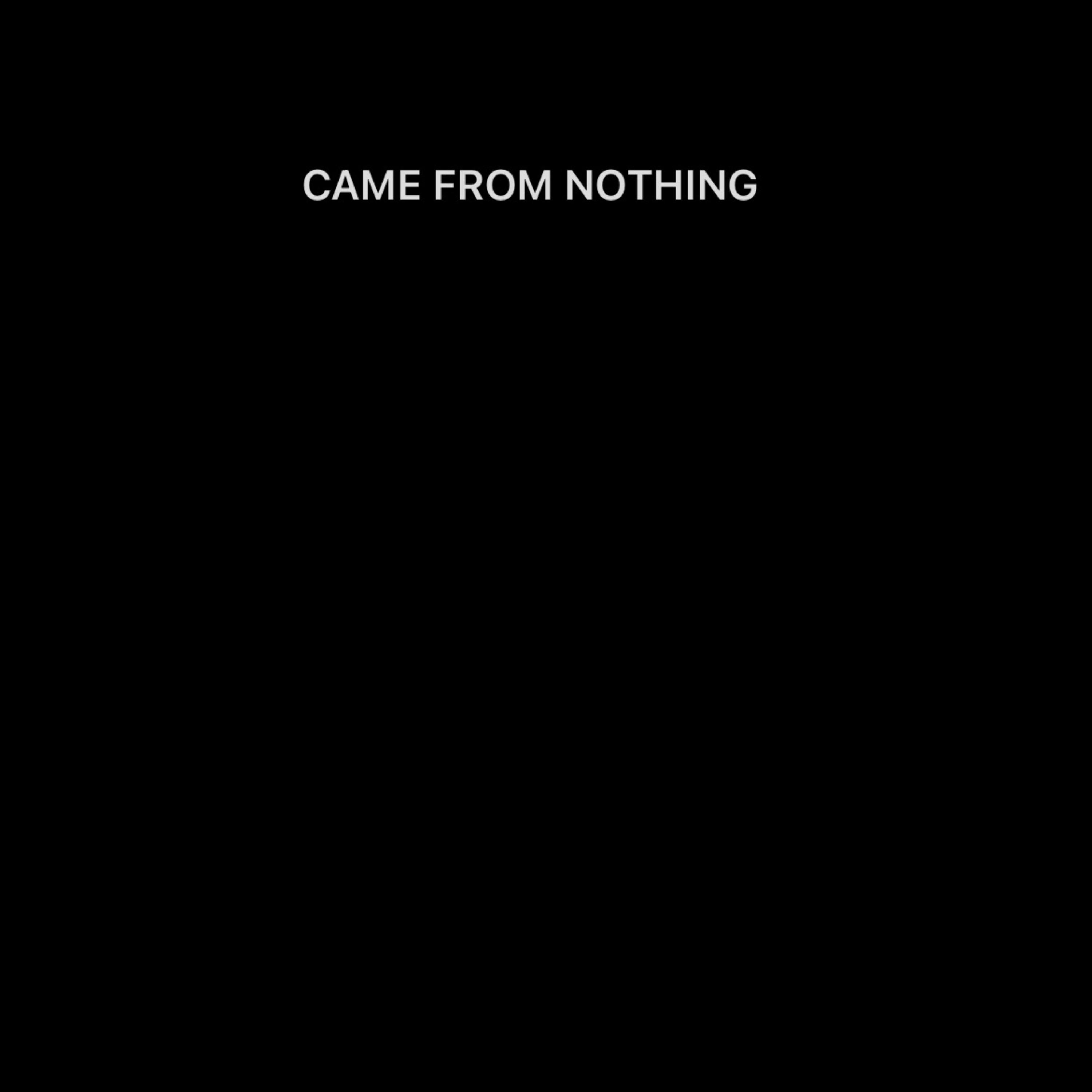 CAME FROM NOTHING artwork