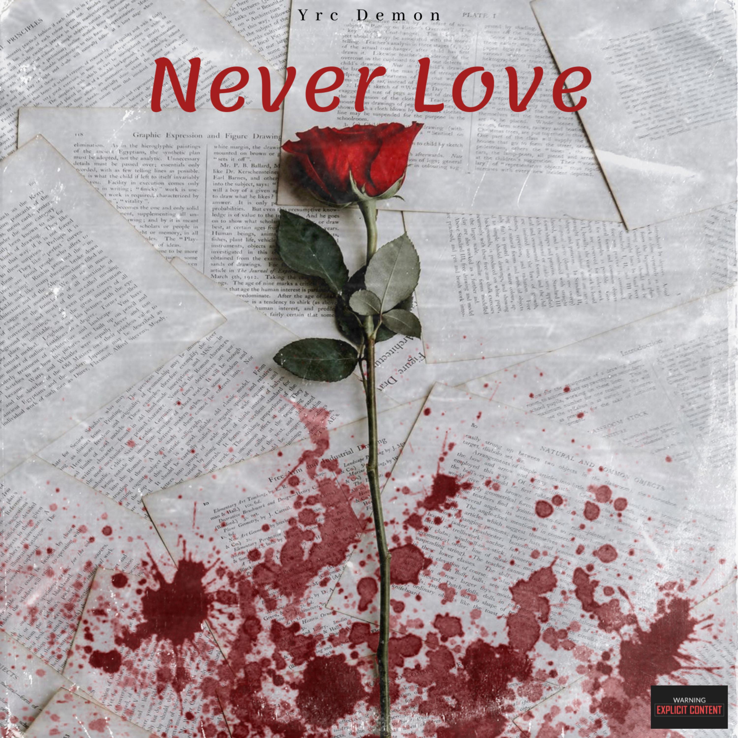 Never Love artwork