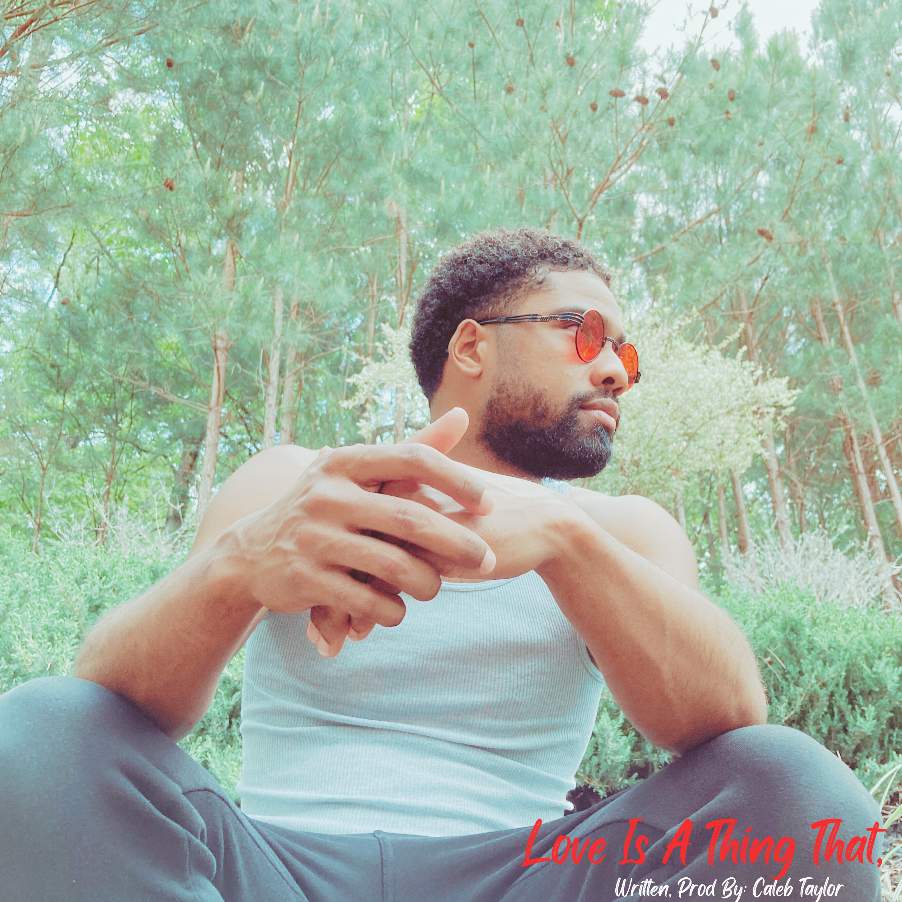 Love Is A Thing That, Pt.II artwork