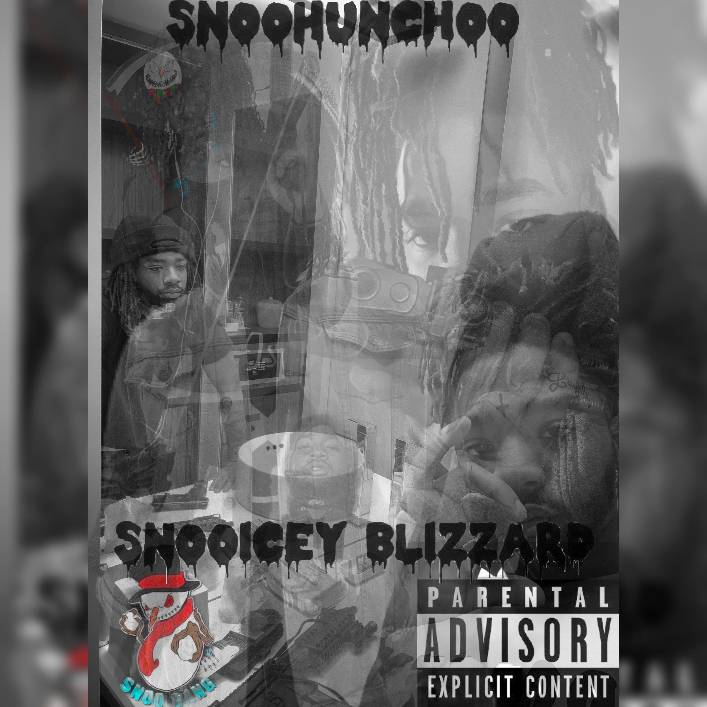 Snooicey Blizzard artwork