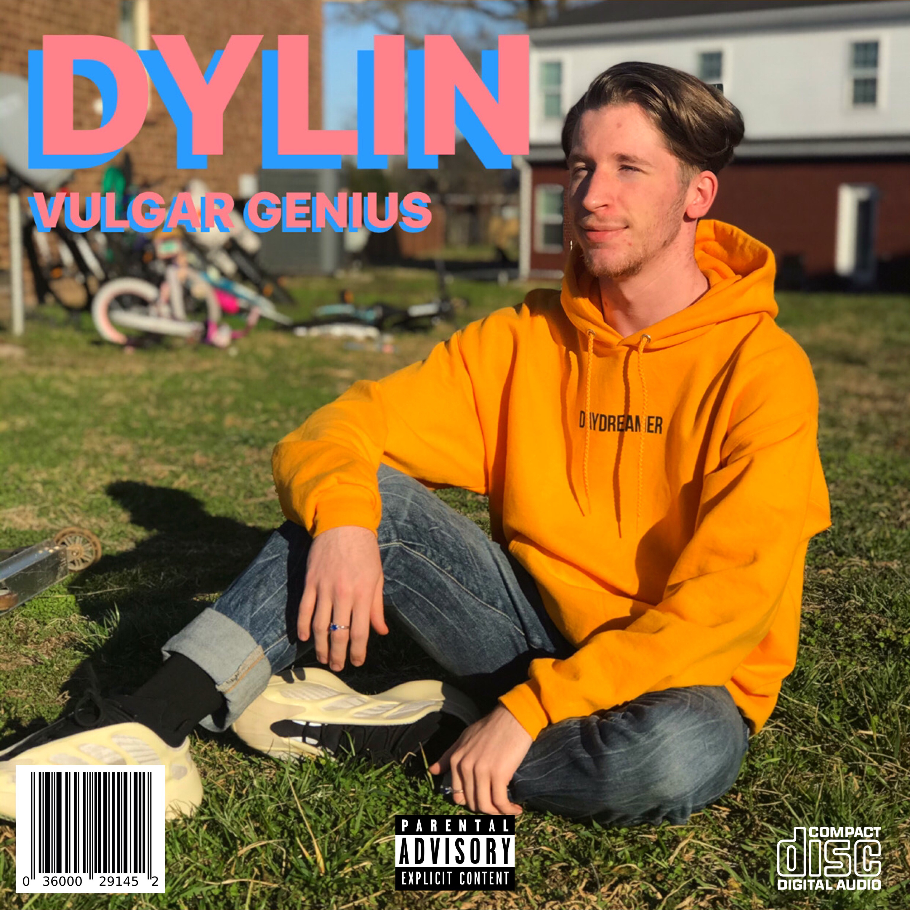 DYLIN artwork