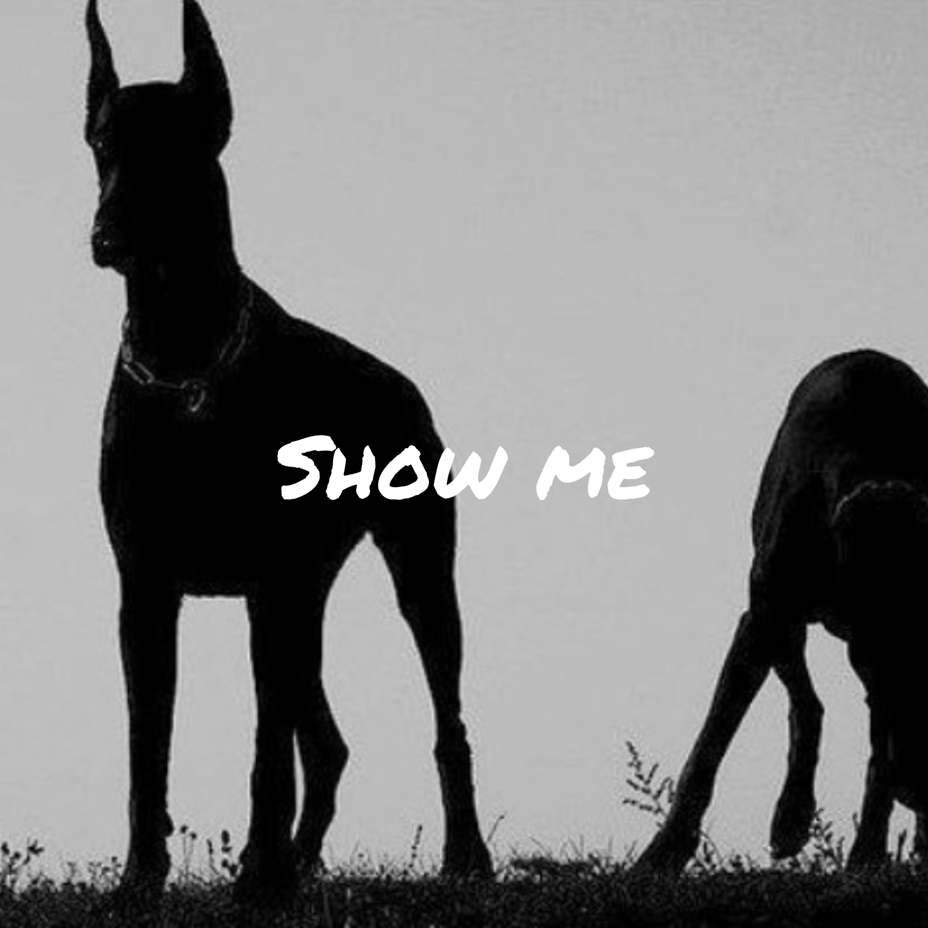 Show Me artwork