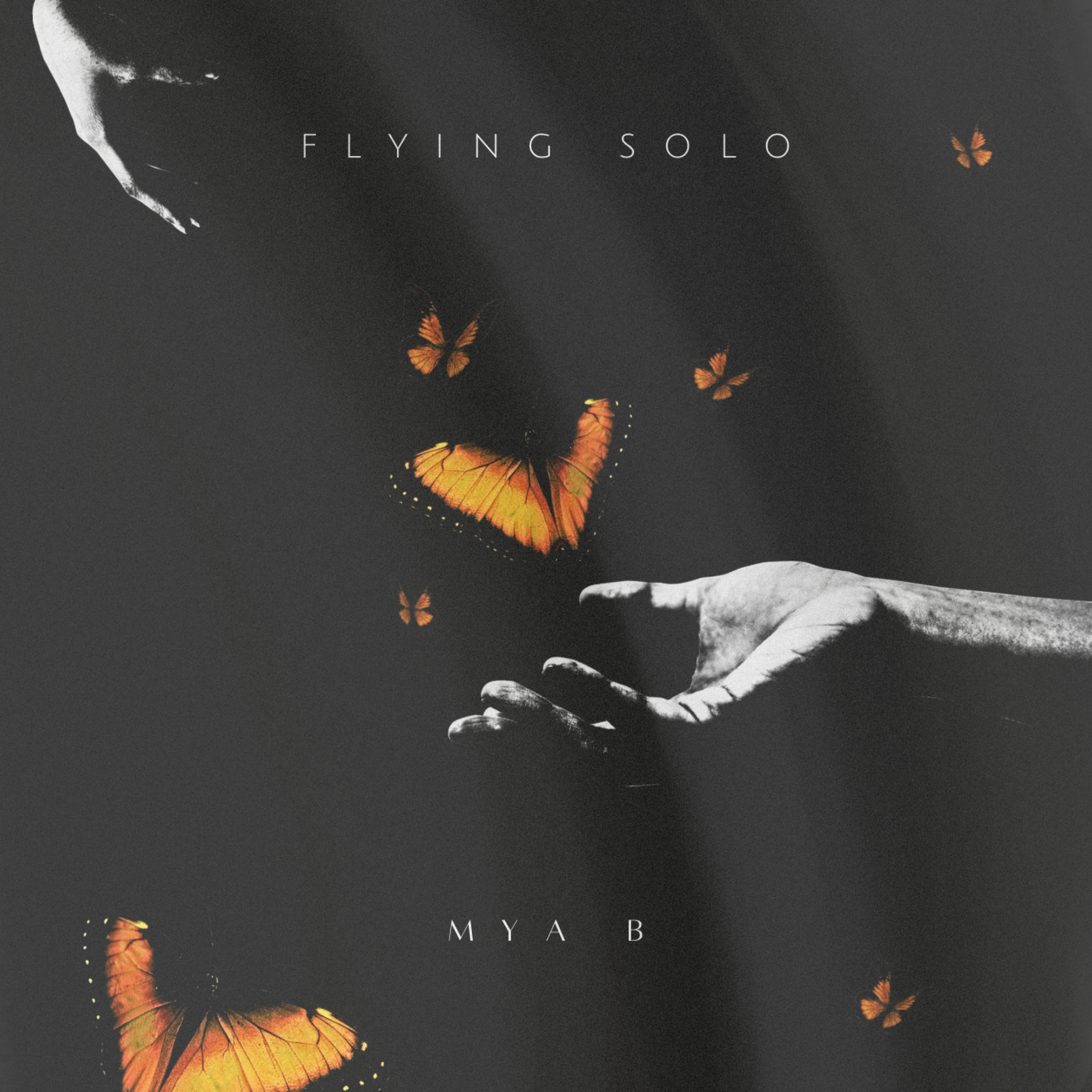 Flying Solo artwork