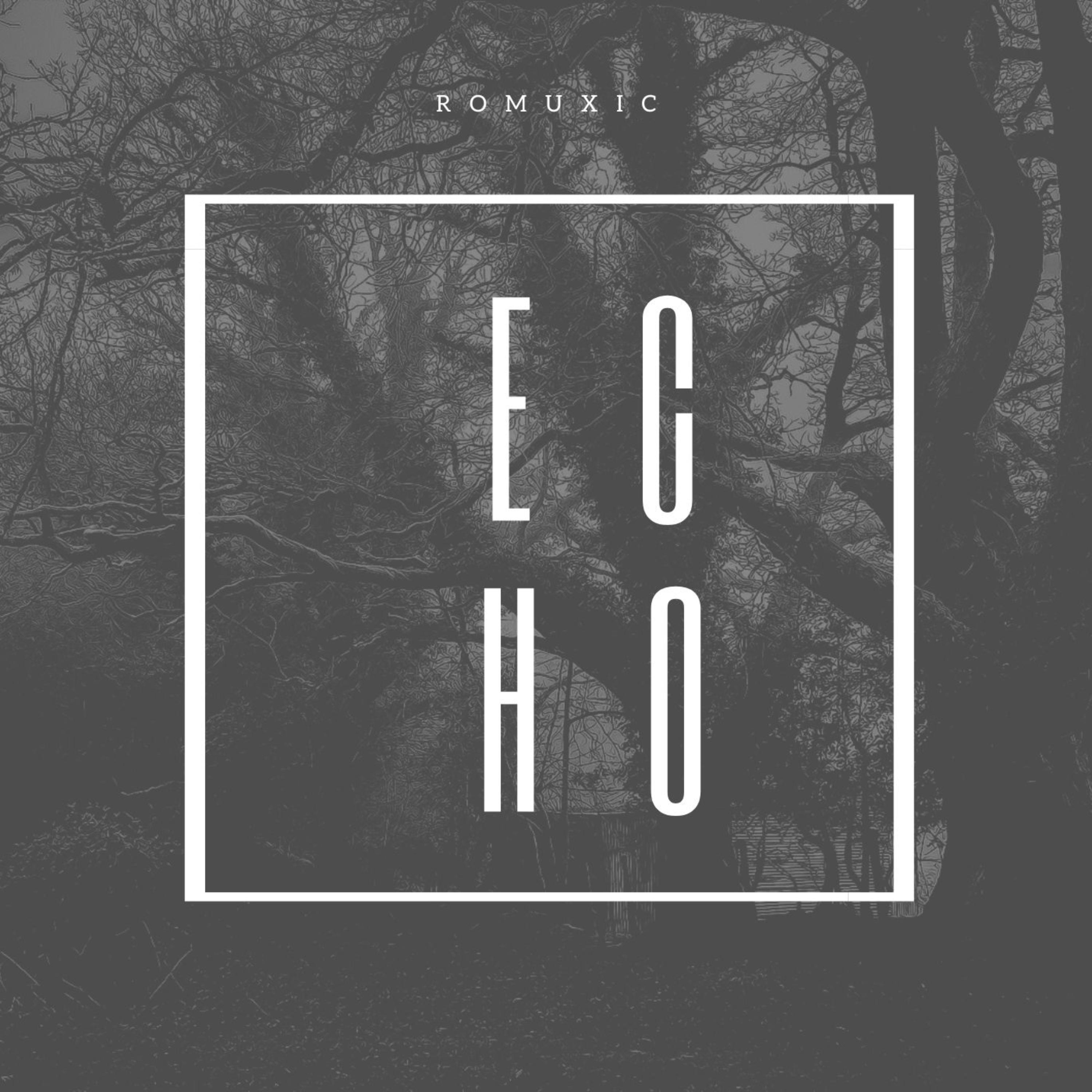 Echo artwork
