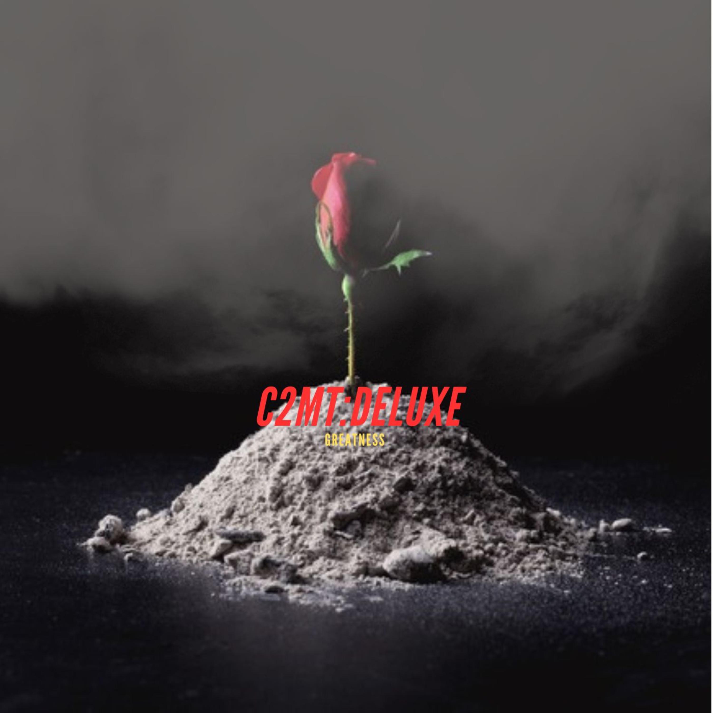 C2MT (Deluxe) artwork