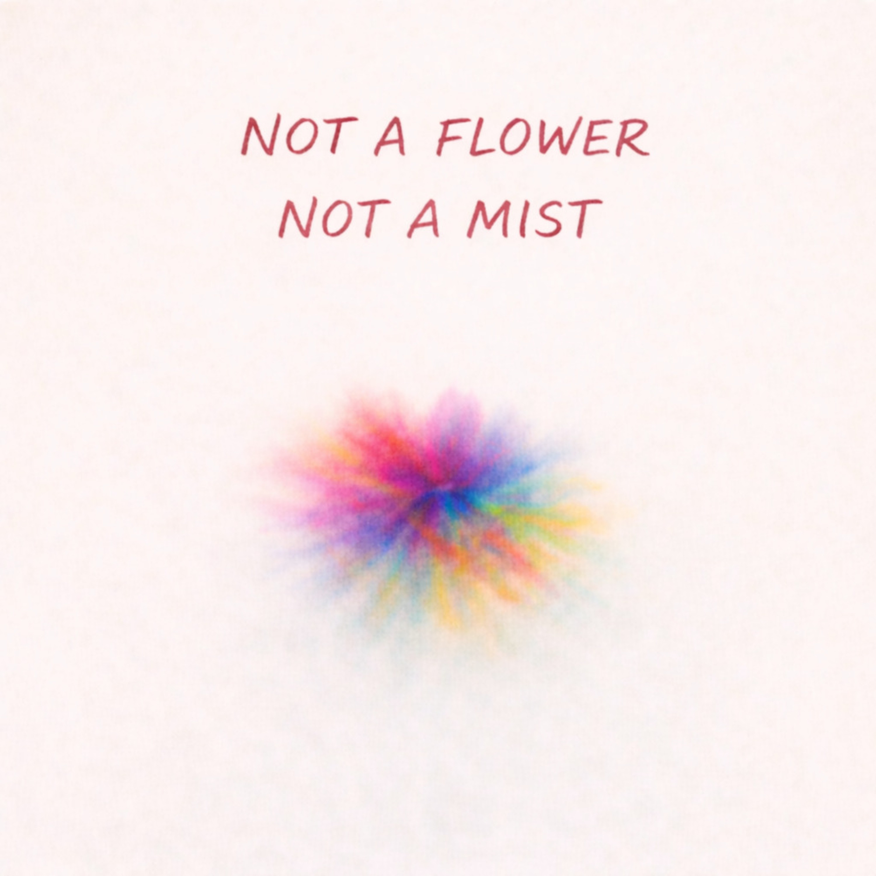Not a Flower Not a Mist artwork
