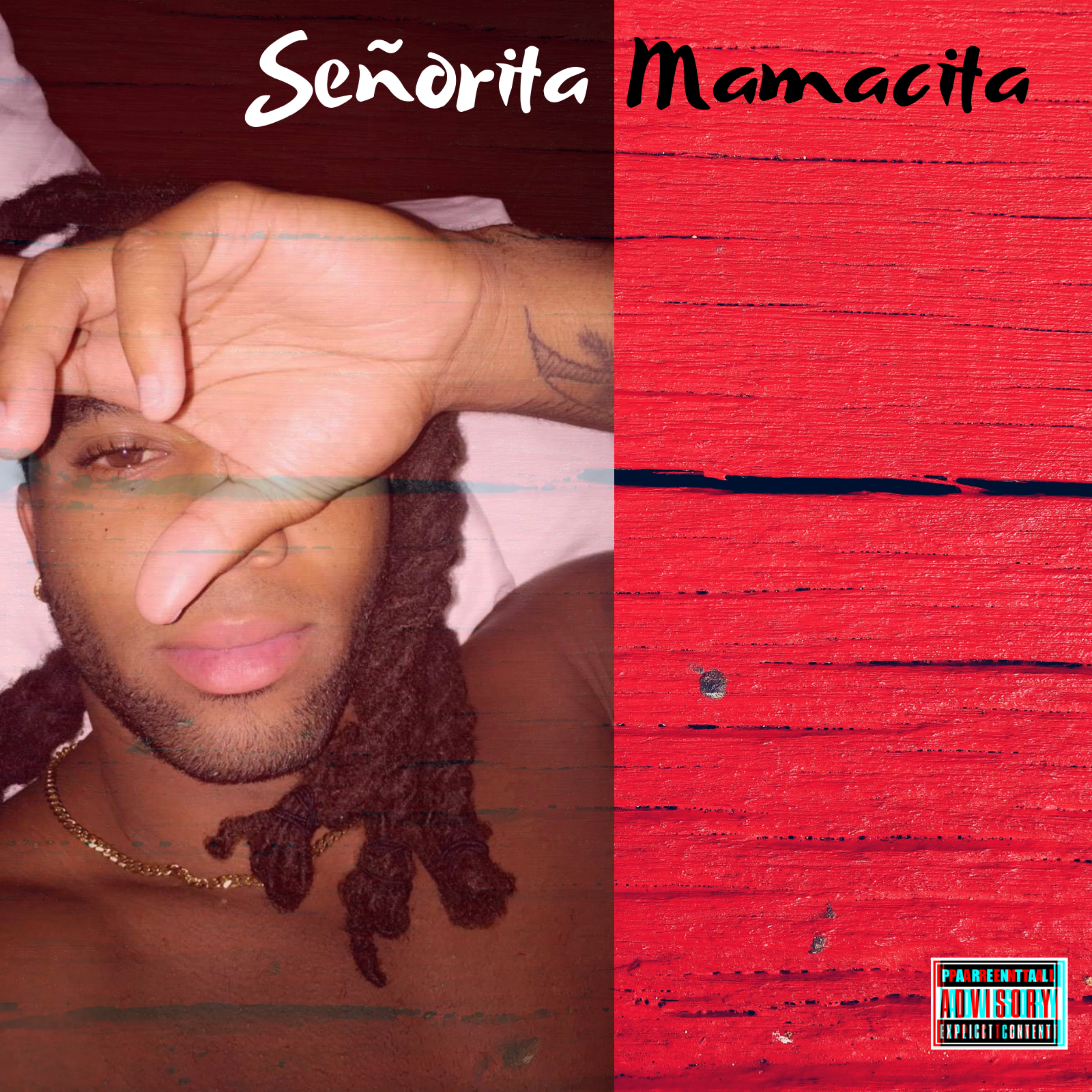 Senorita Mamacita by Mrmilkchocolatee cover art