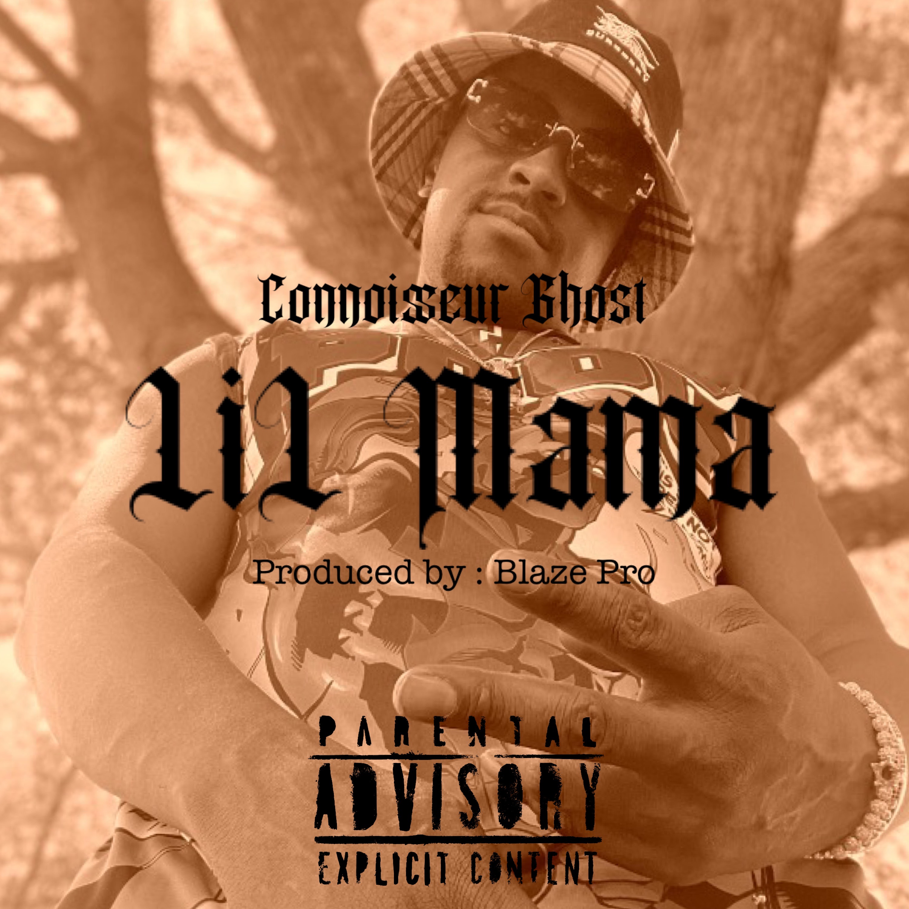 LiL Mama artwork