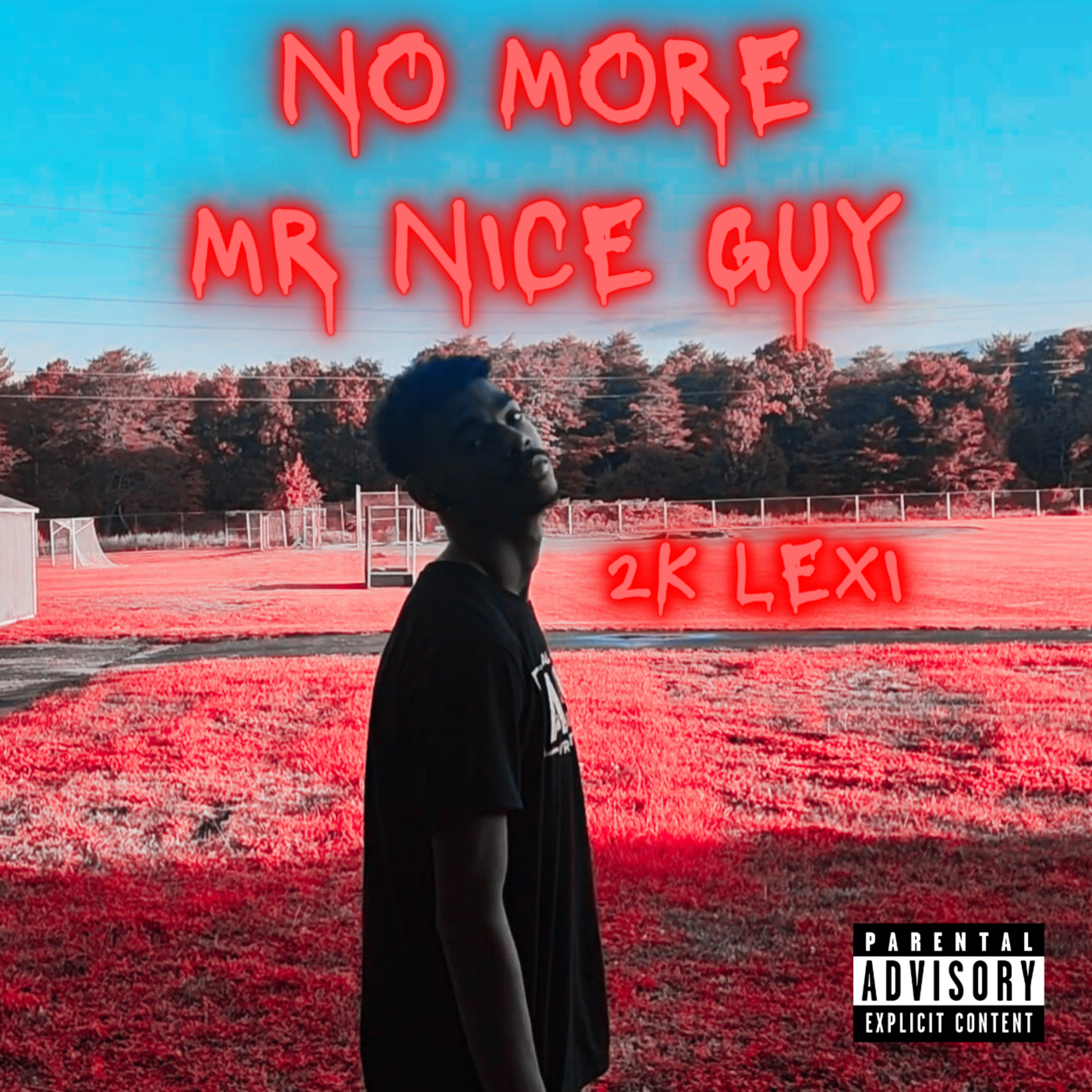 NO MORE MR NICE GUY artwork