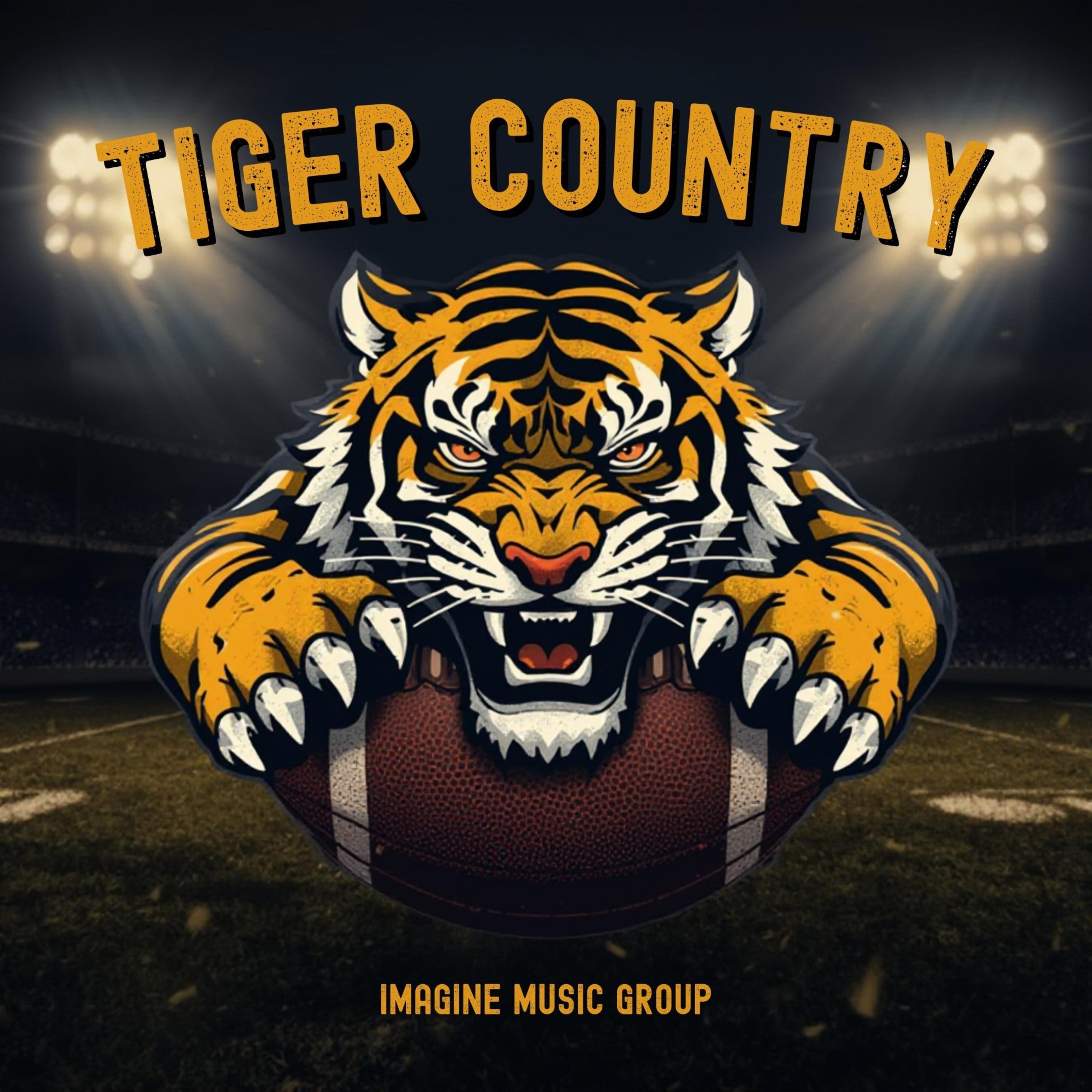 TIGER COUNTRY artwork