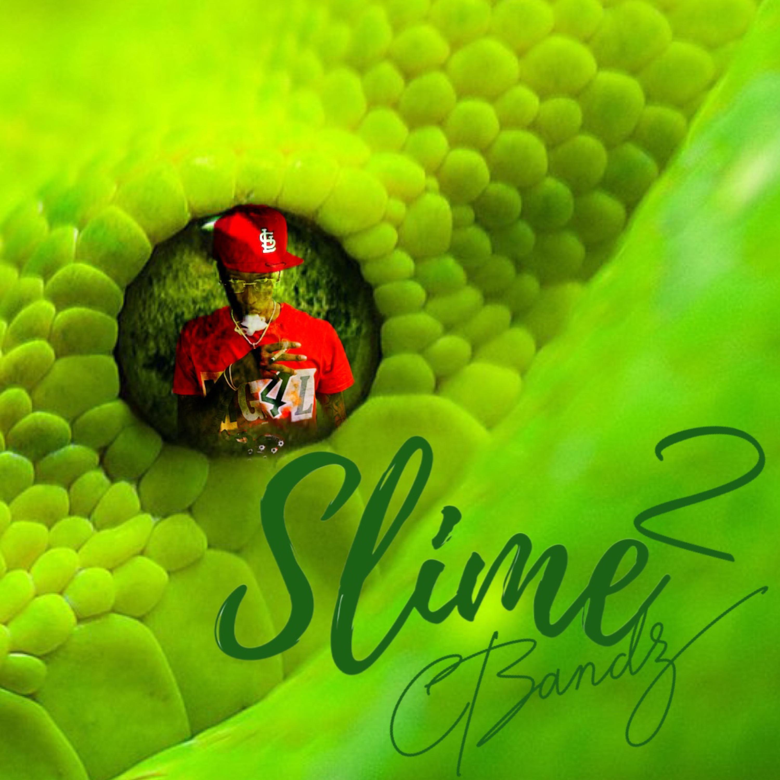 Slime 2 artwork