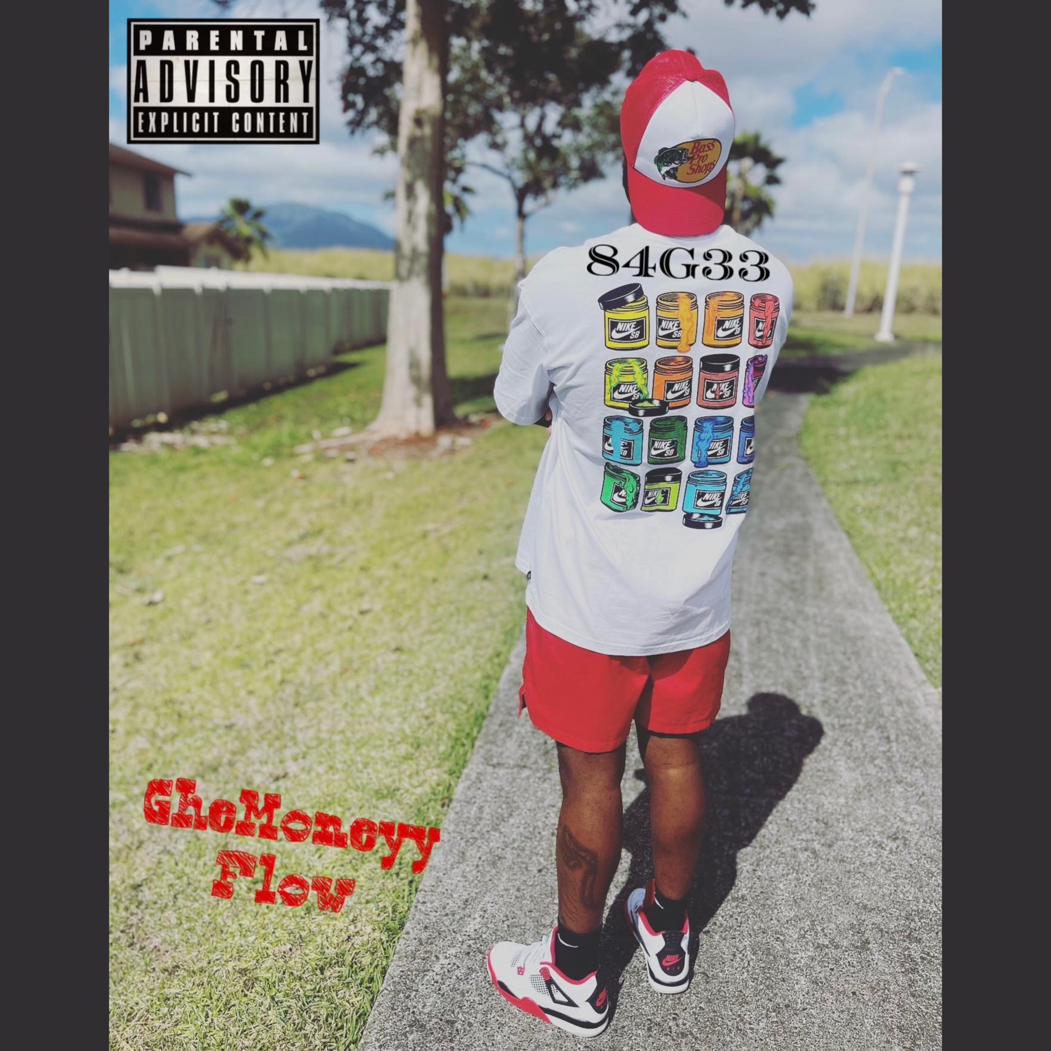GheMoneyy Flow artwork