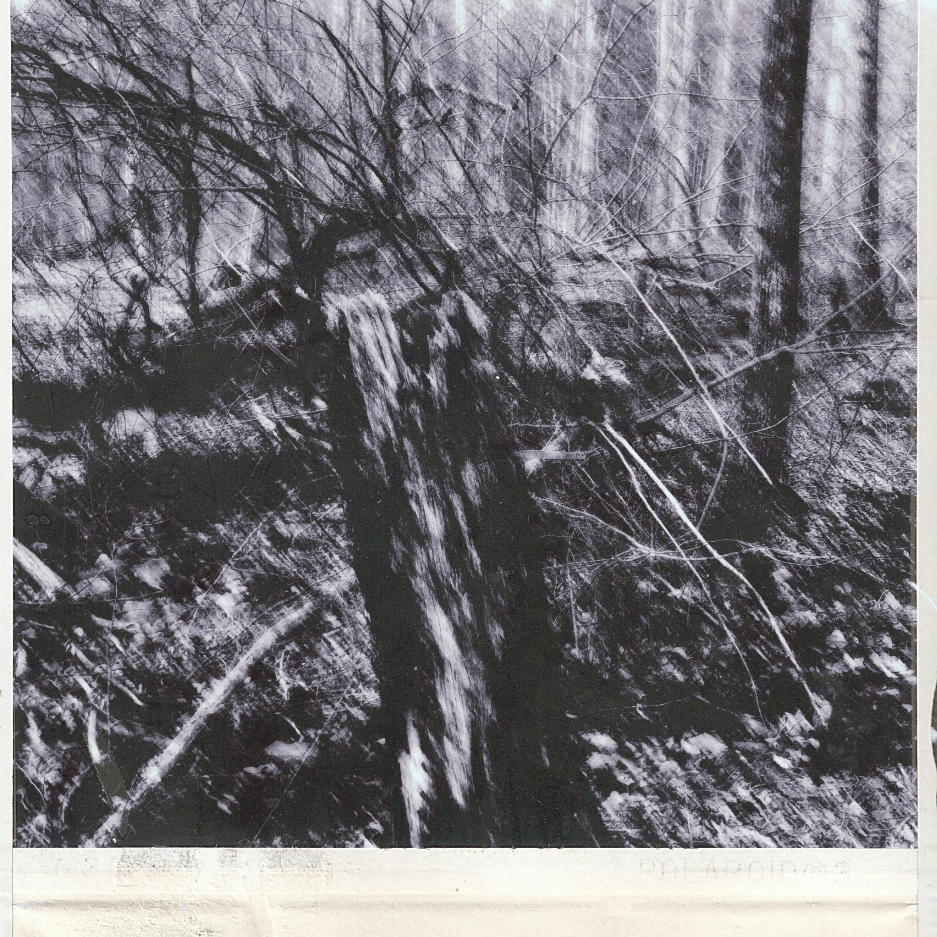 Trees artwork