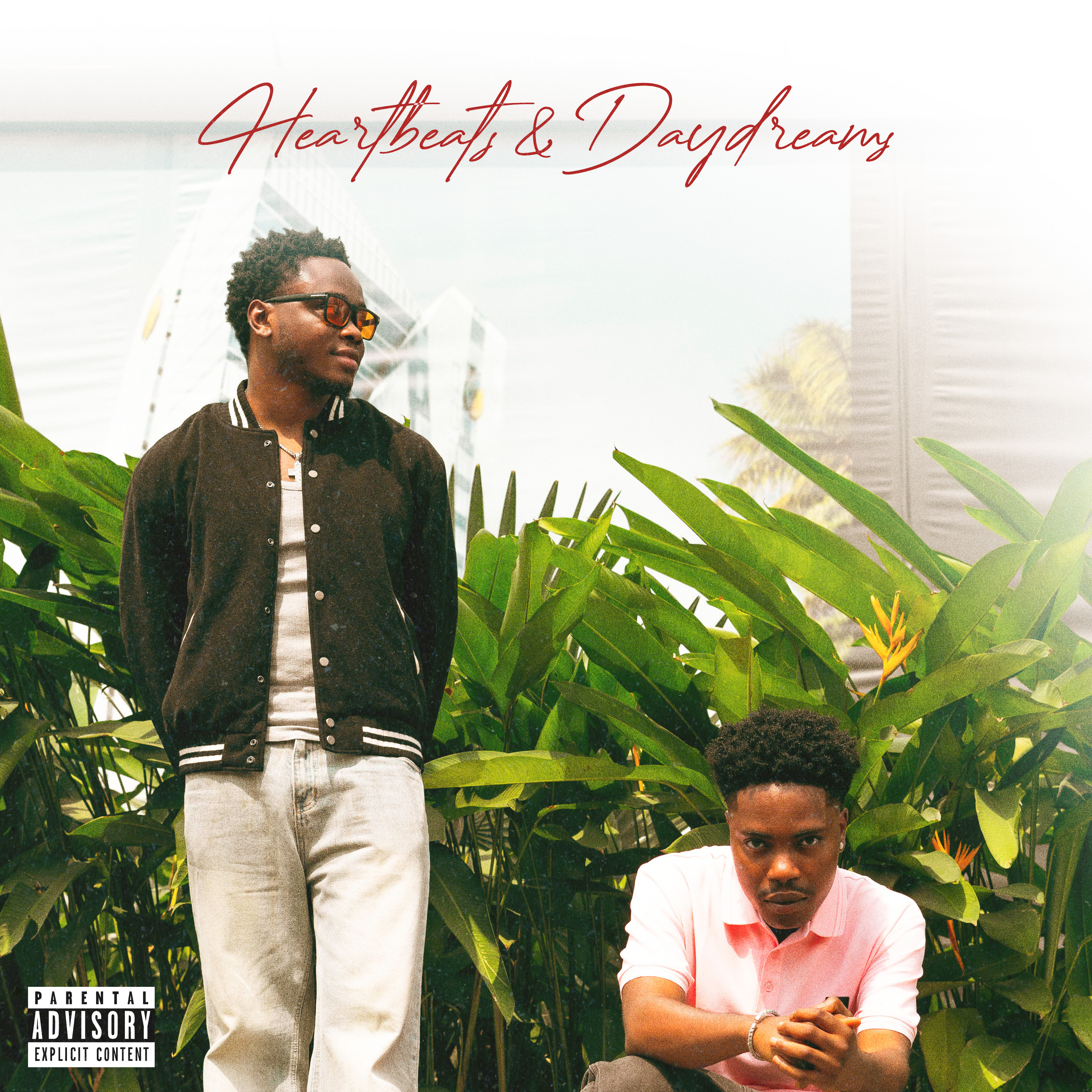 Heartbeats & Daydreams artwork