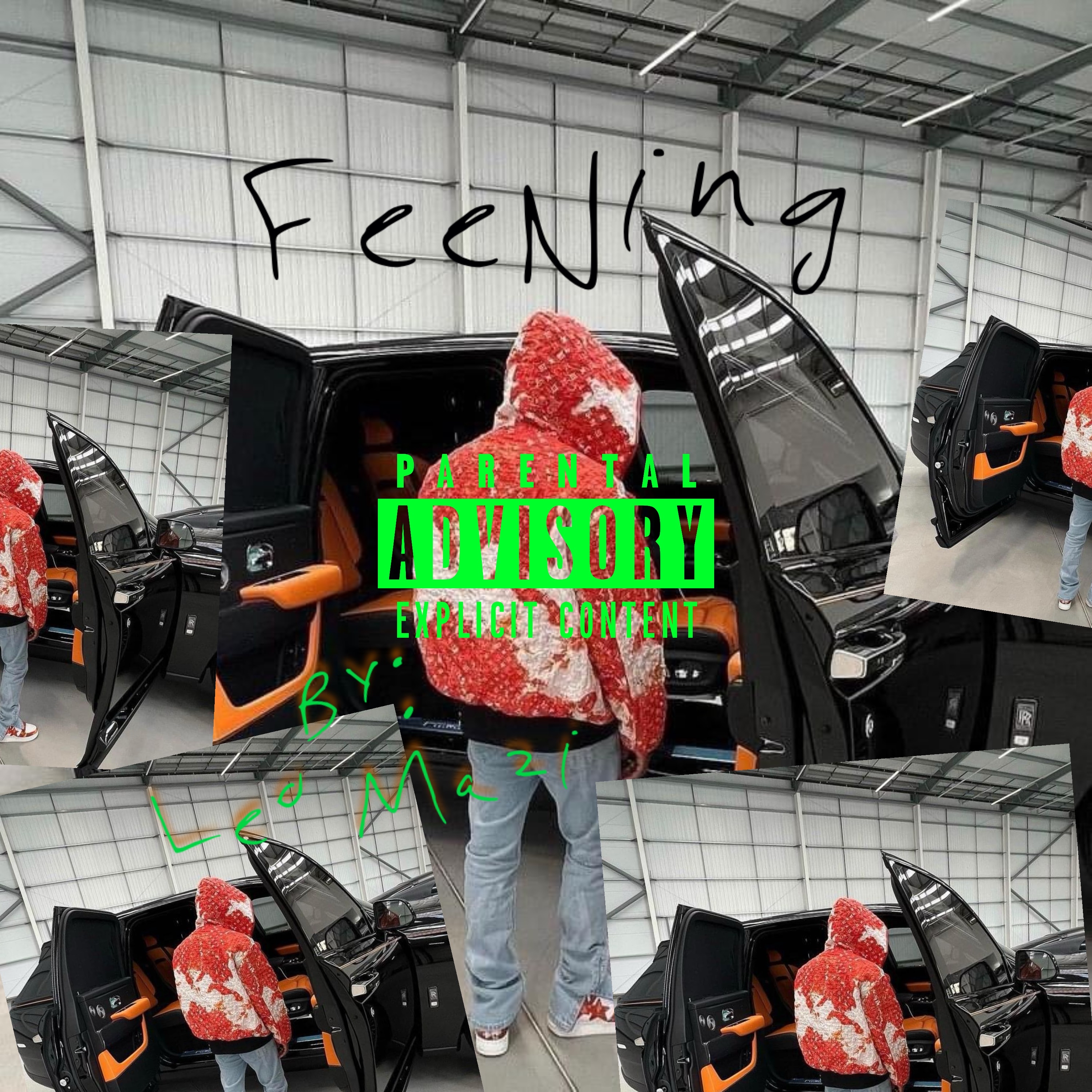 Feenin artwork