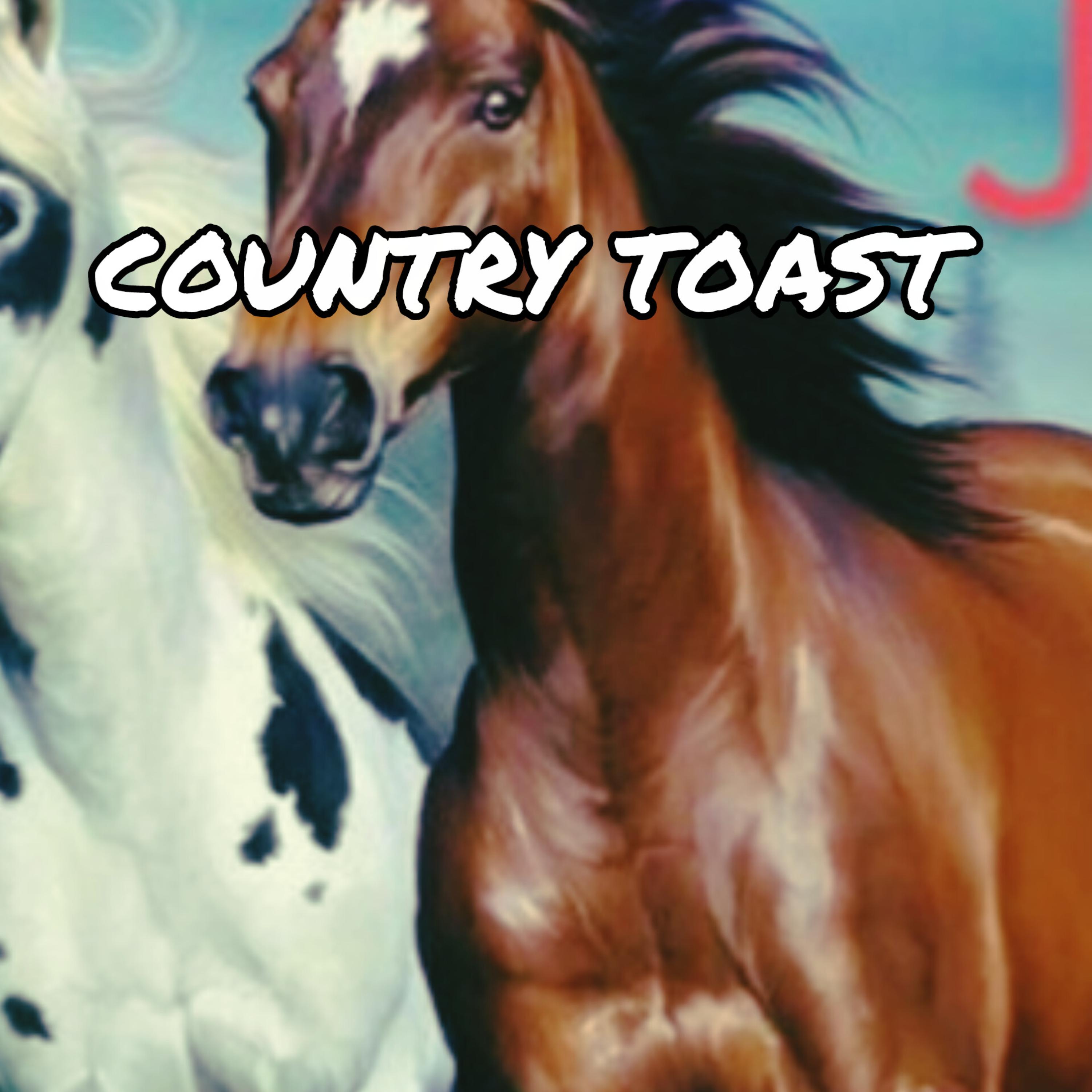 COUNTRY TOAST artwork