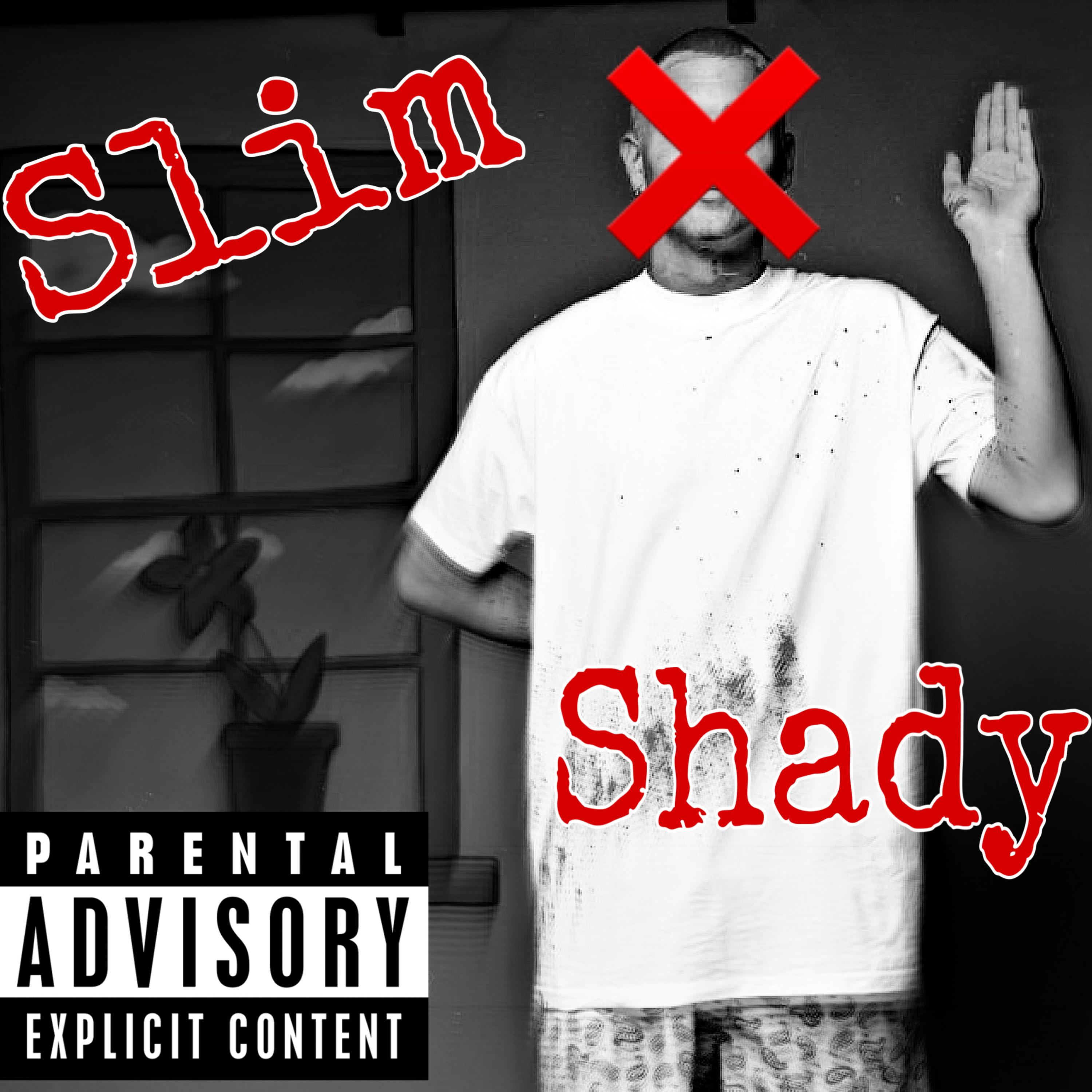 Slim Shady artwork