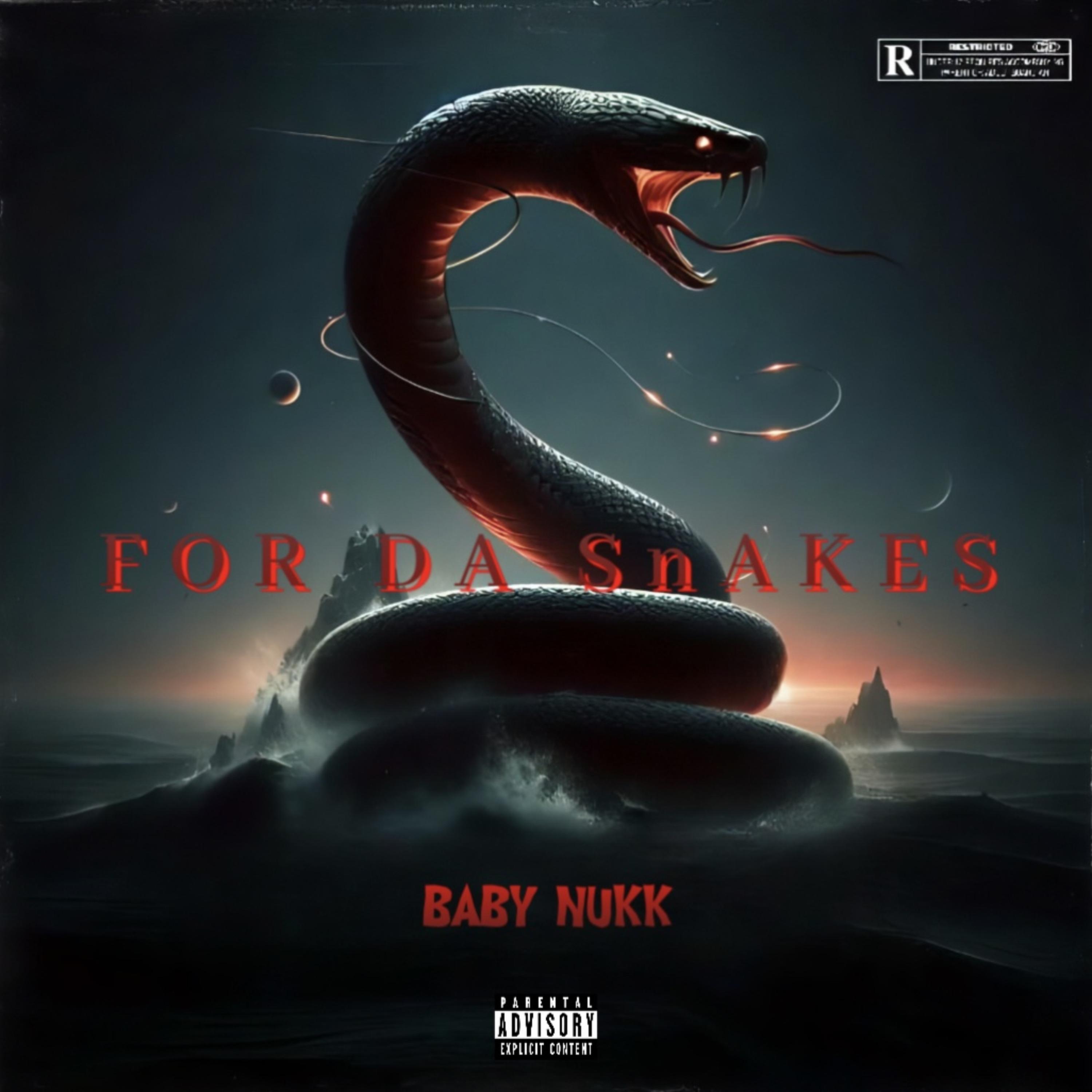 For Da Snakes artwork