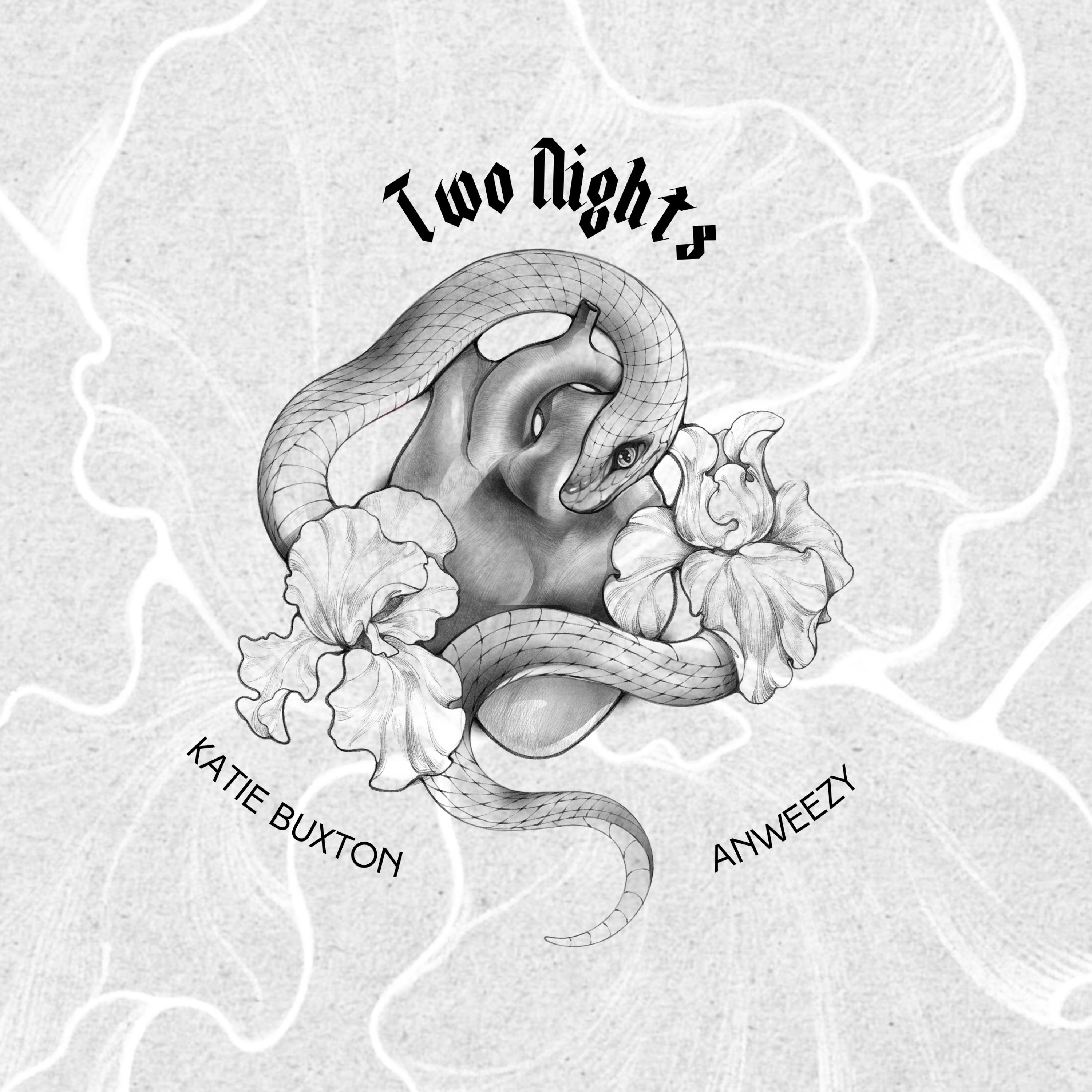 Two Nights by Anweezy cover art