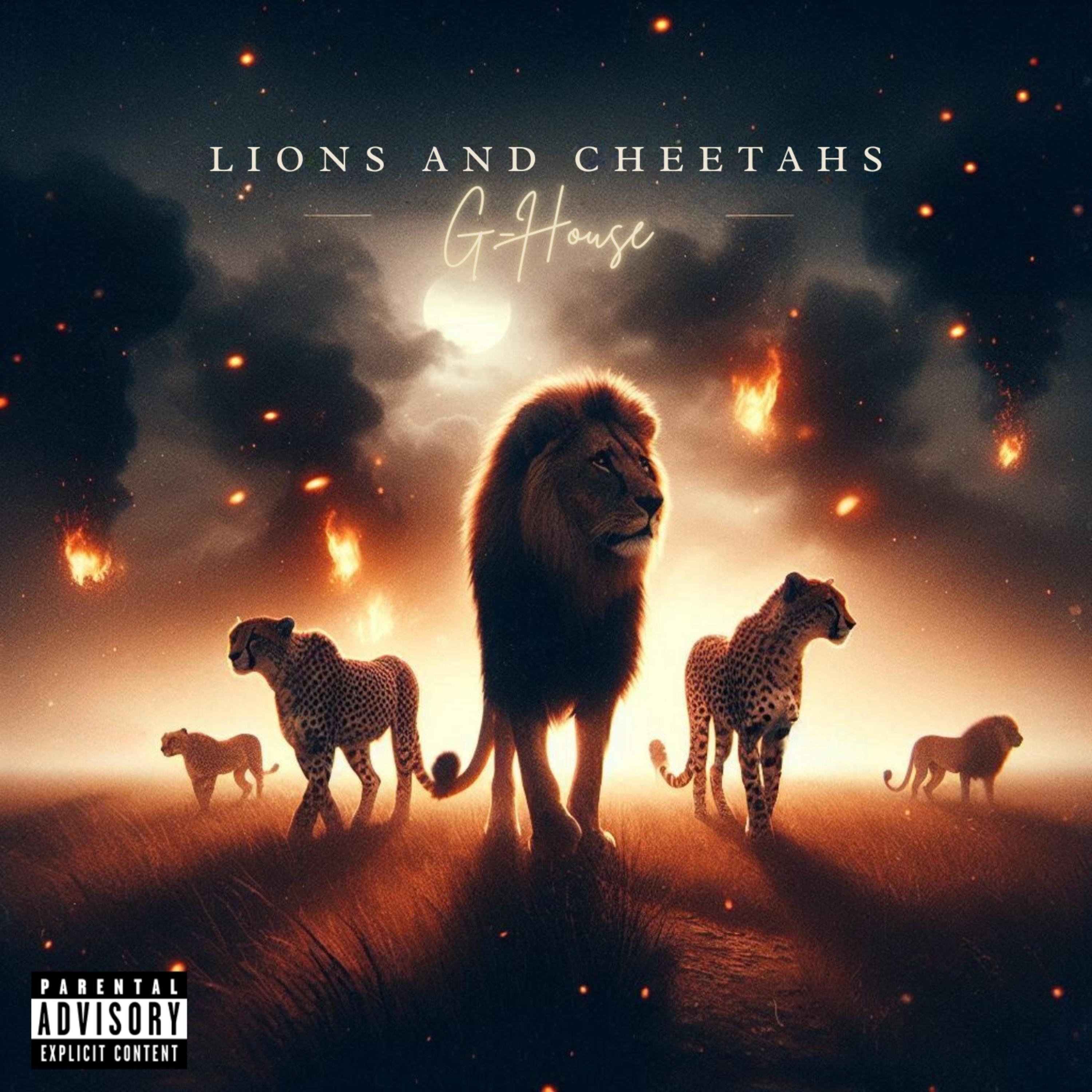 Lions And Cheetahs artwork