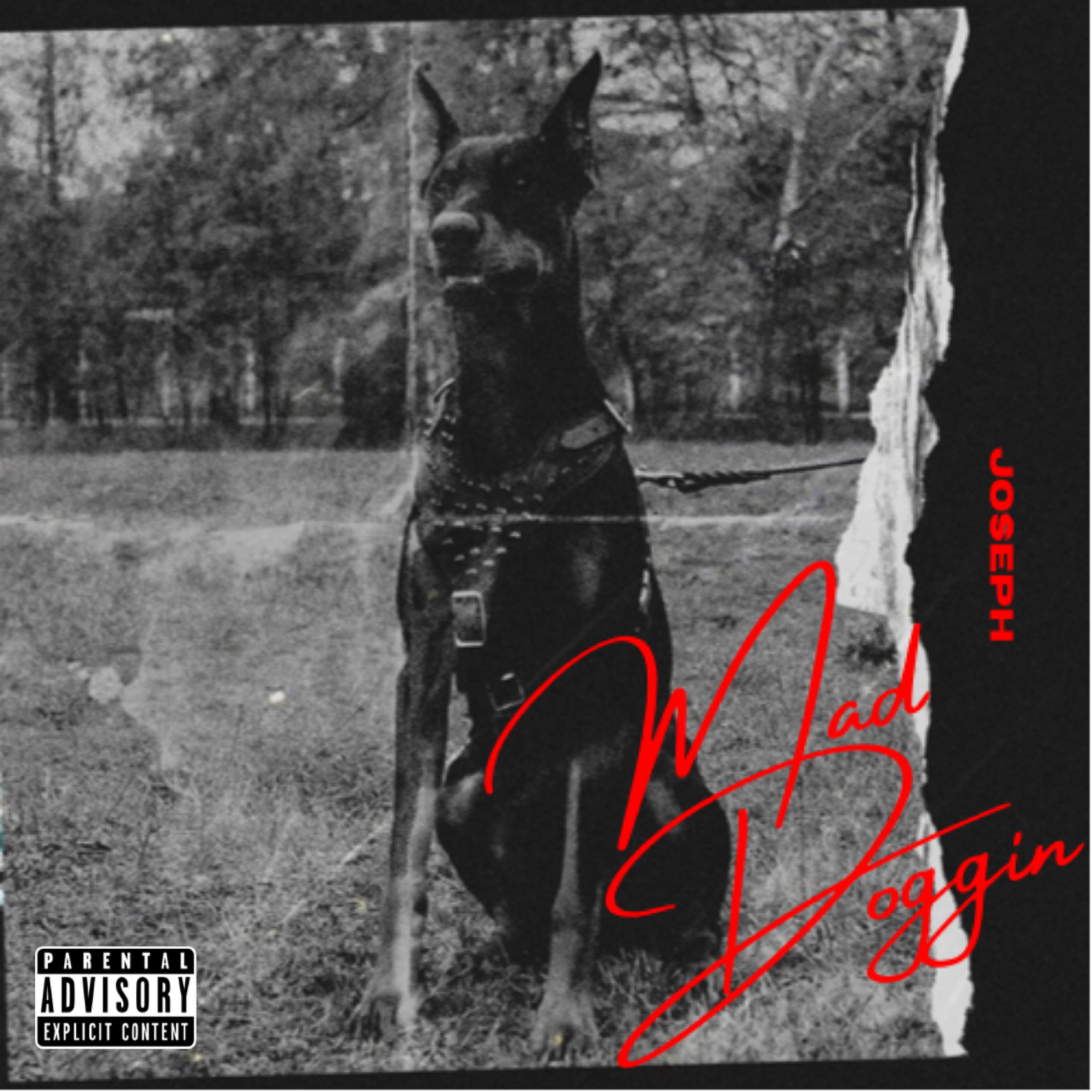 Mad Doggin' artwork