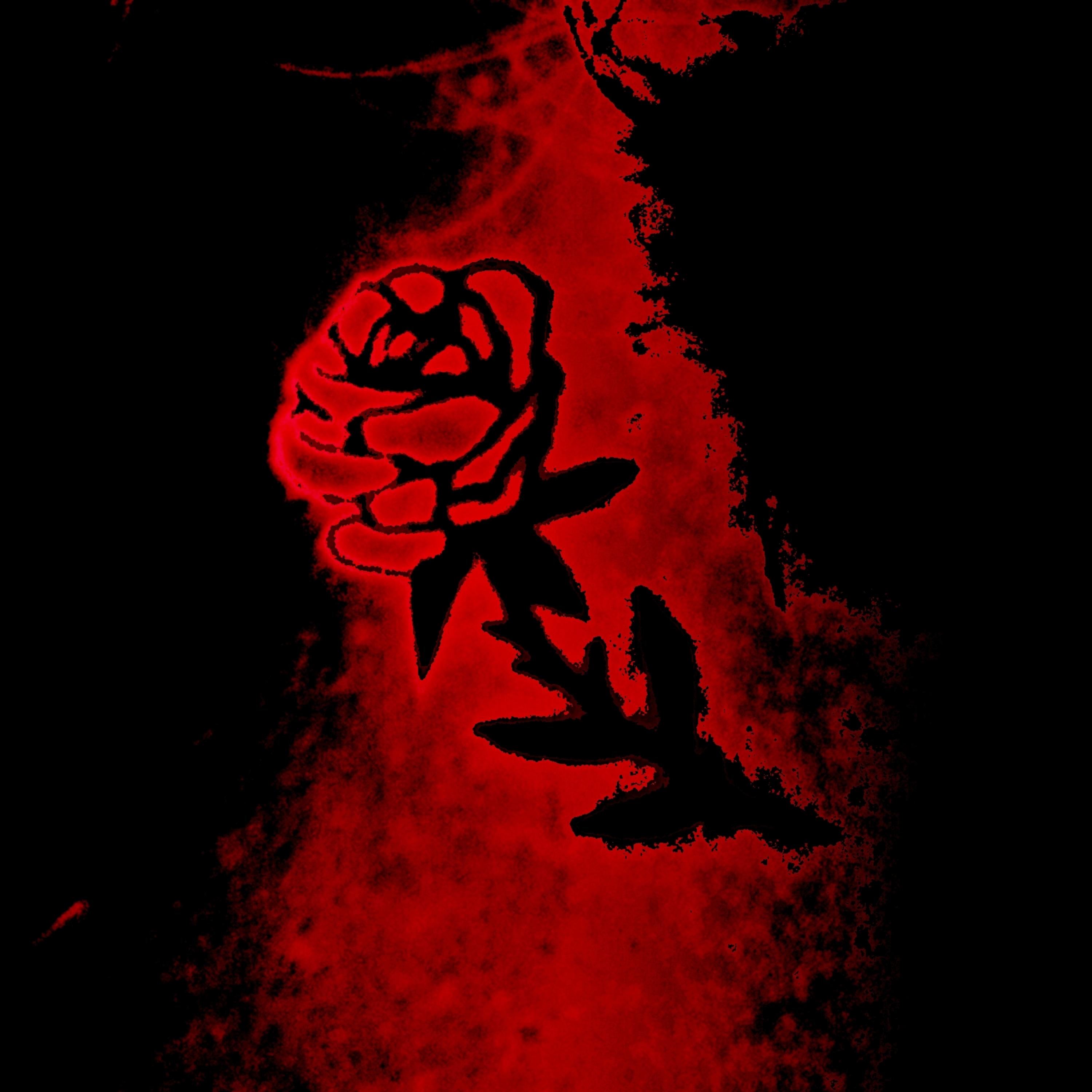 Não Me Sinto Amado artwork