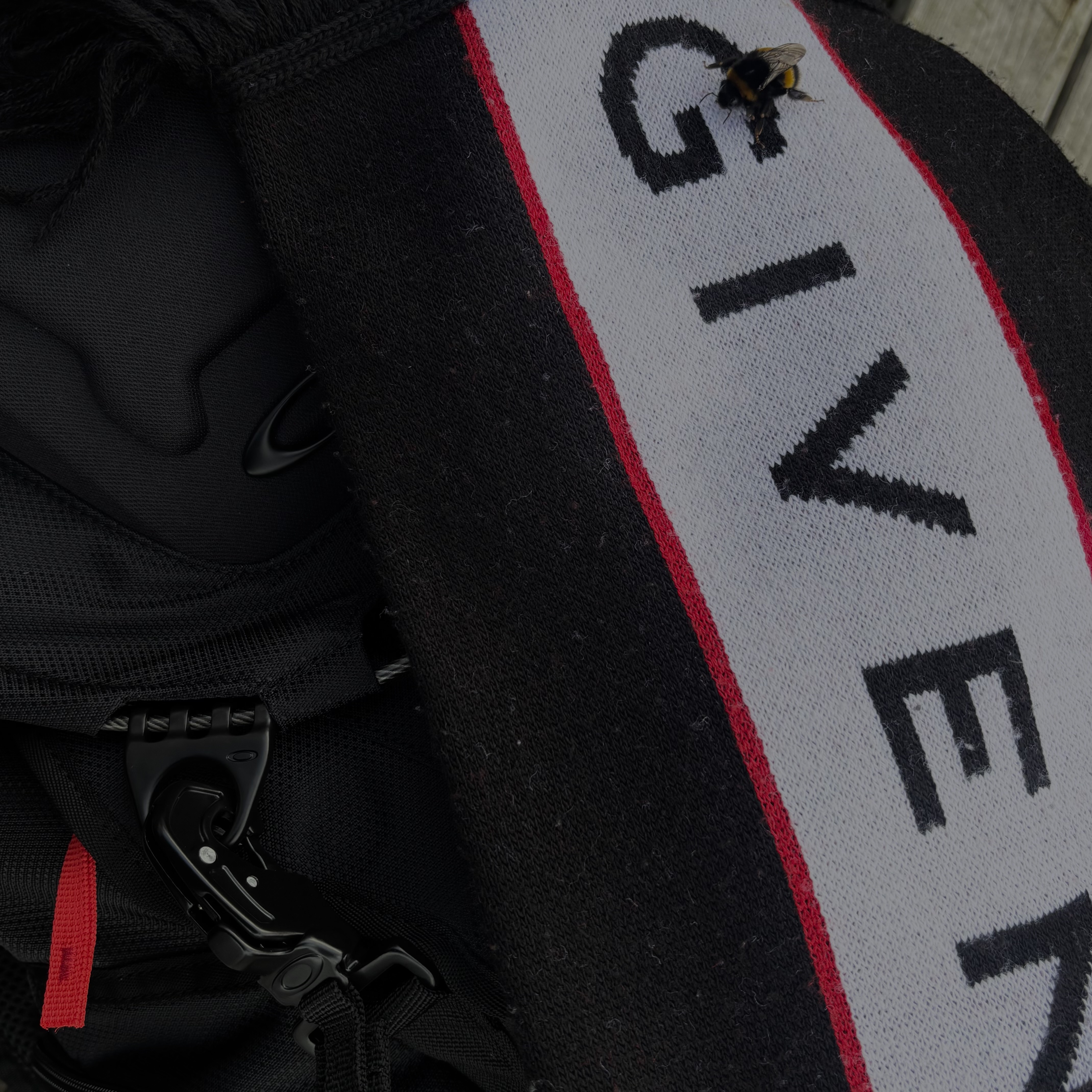 giorgio armani artwork