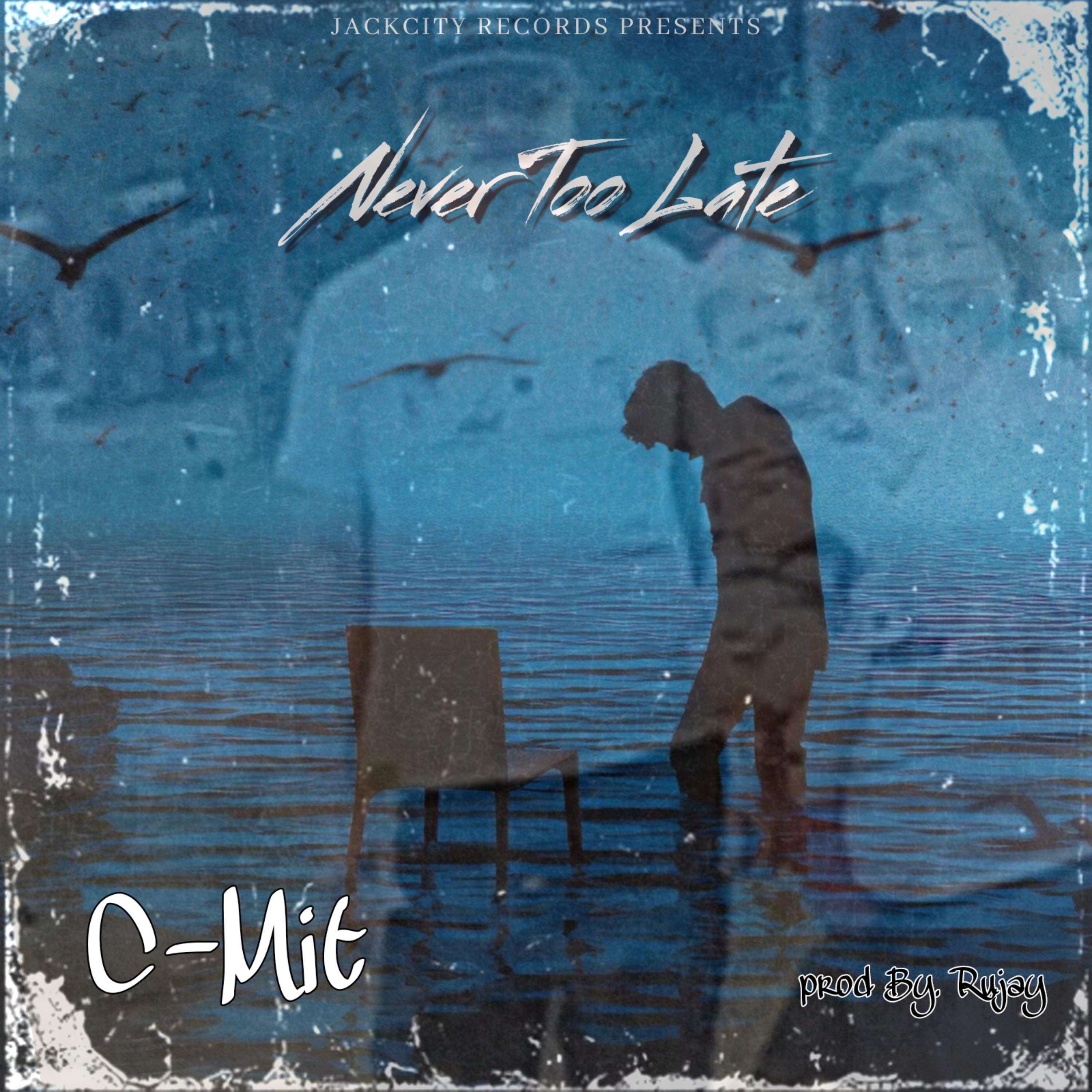 Never Too Late artwork