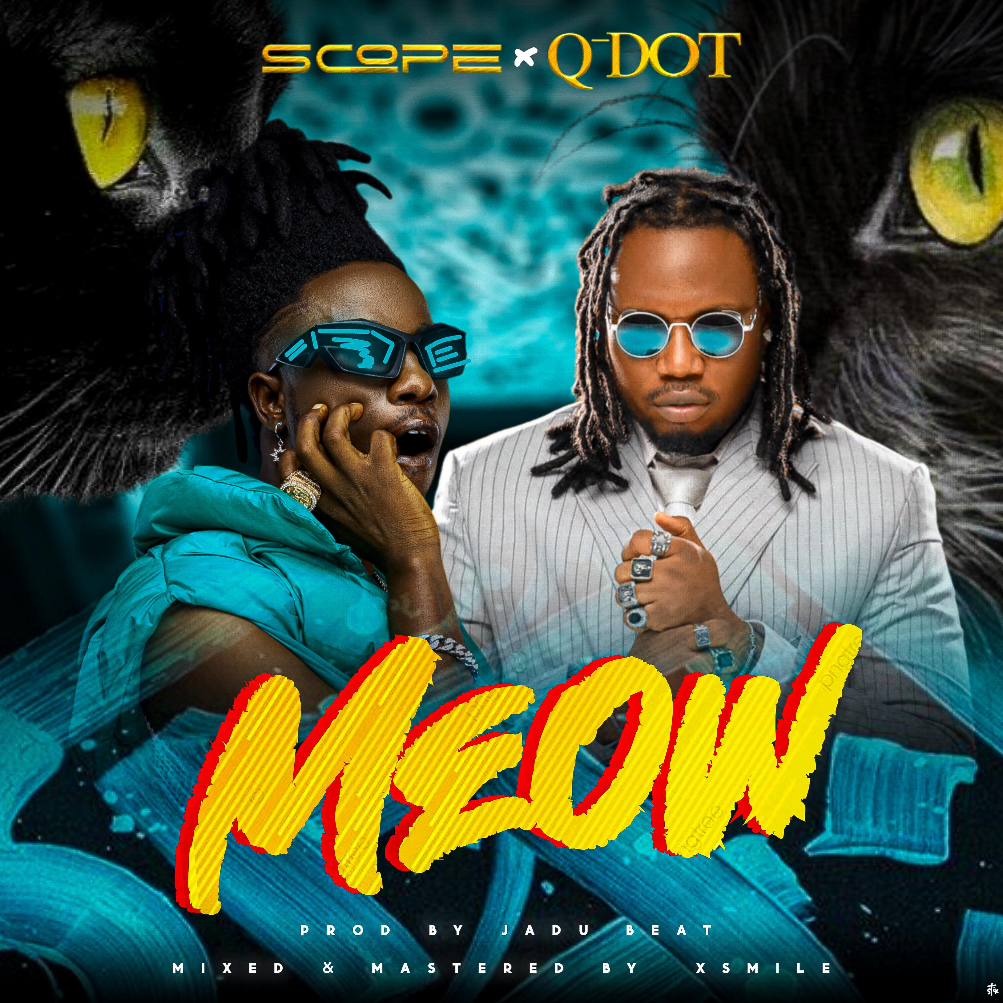 MEOW artwork