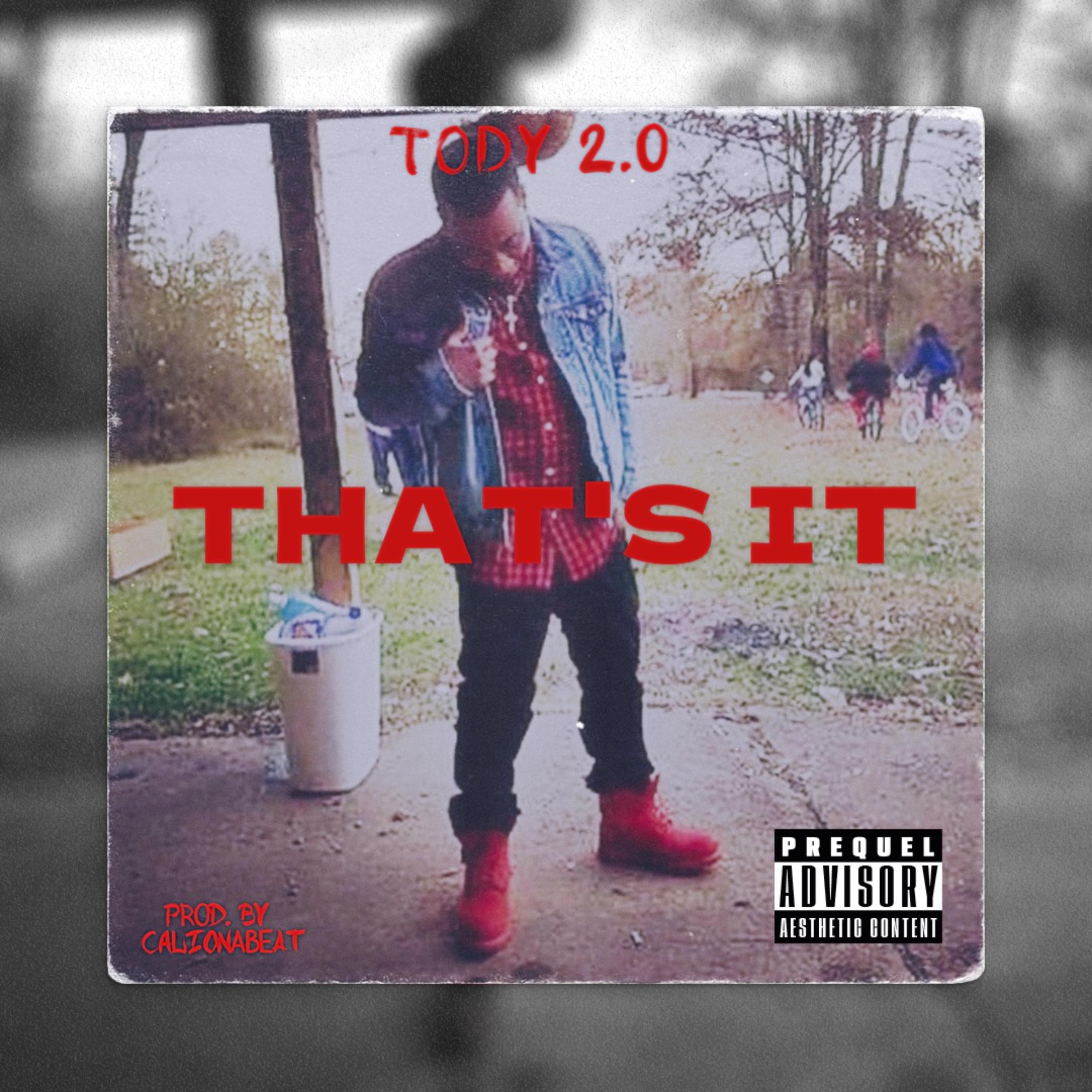That’s It artwork