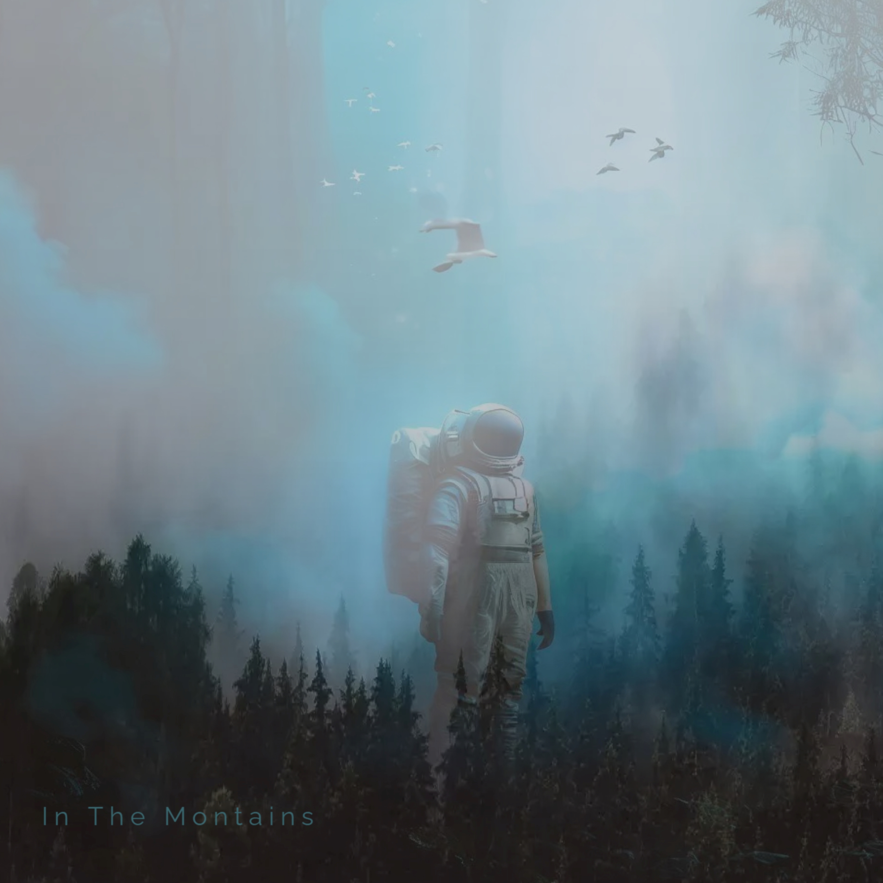 In The Montains artwork