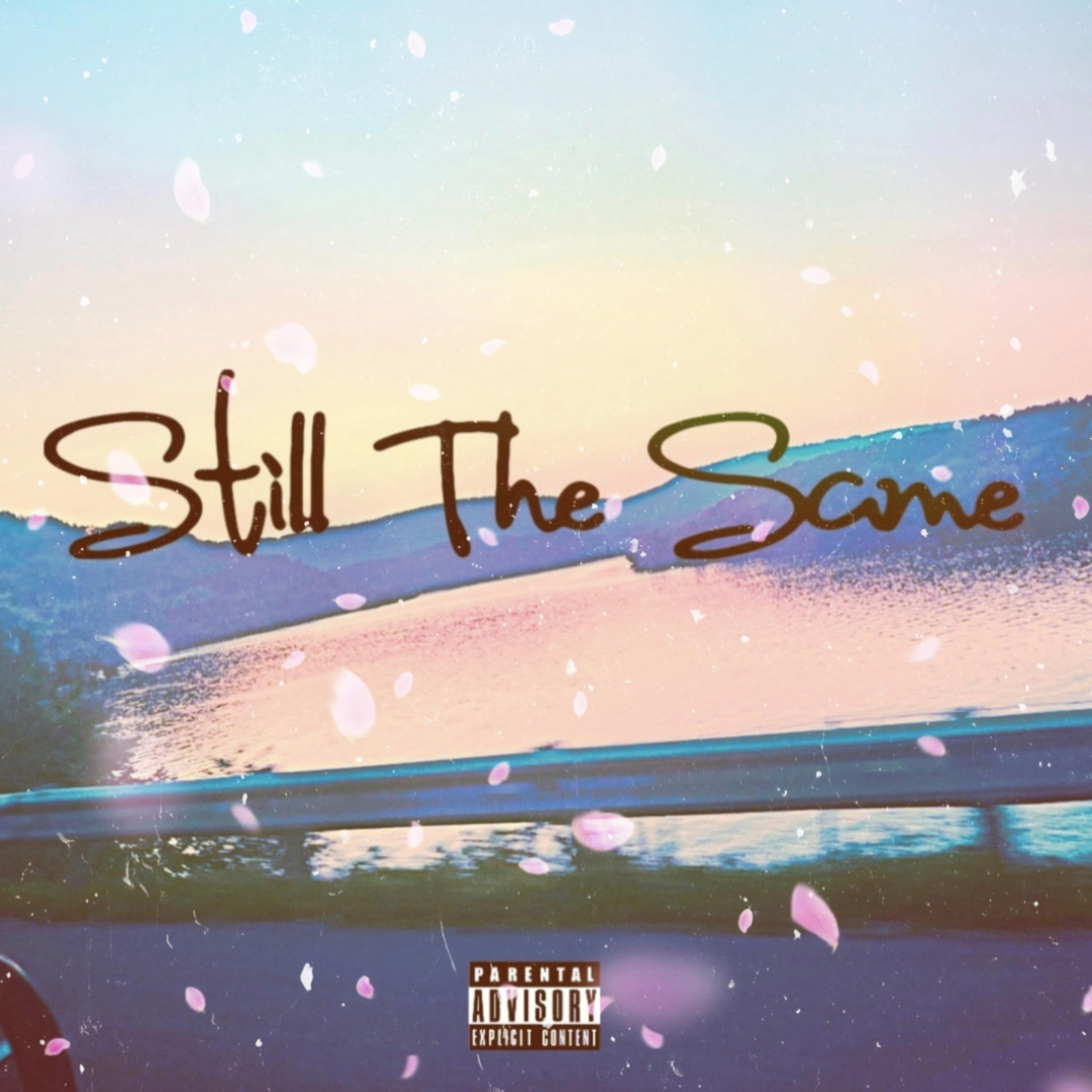 Still The Same artwork
