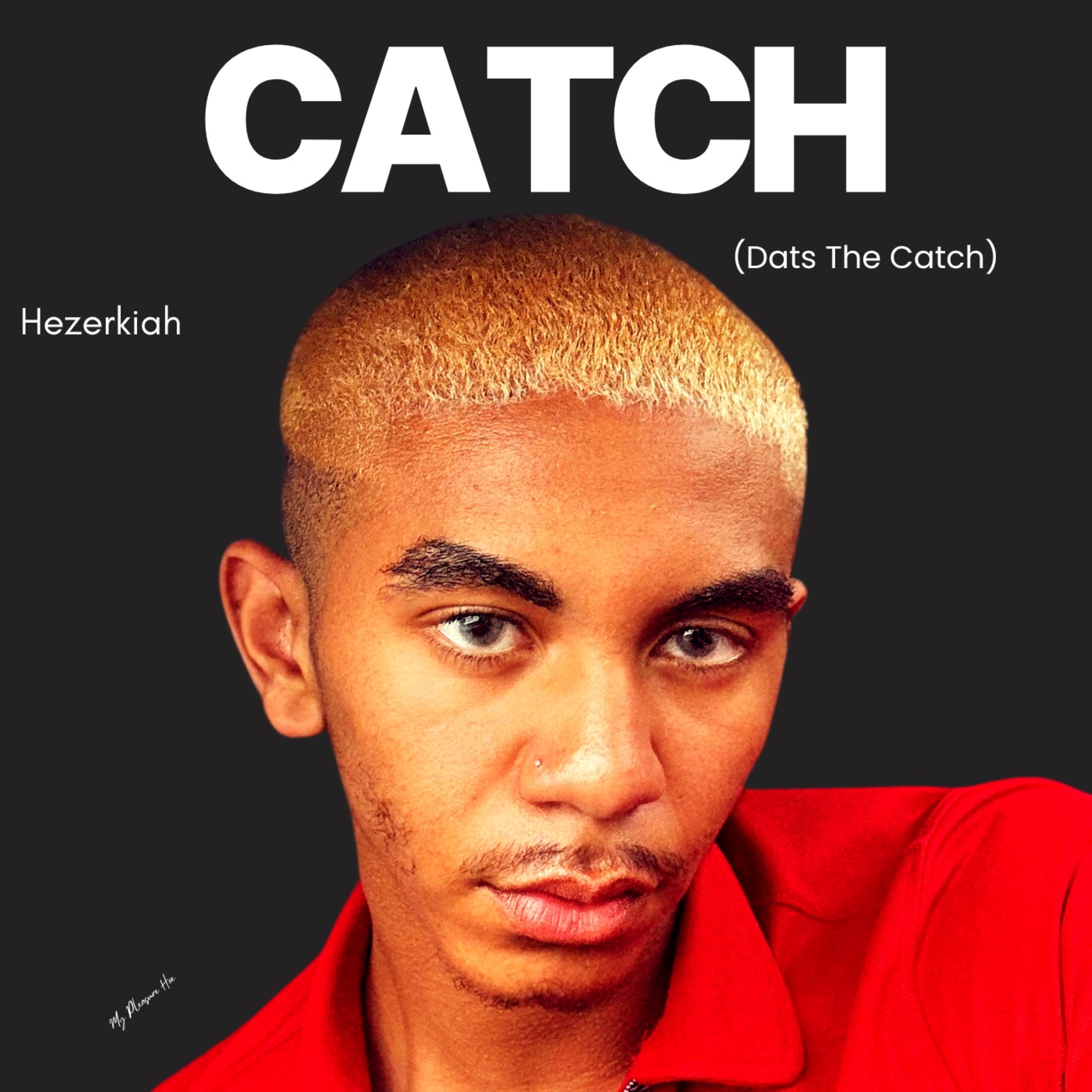 Catch (Dats the Catch) artwork