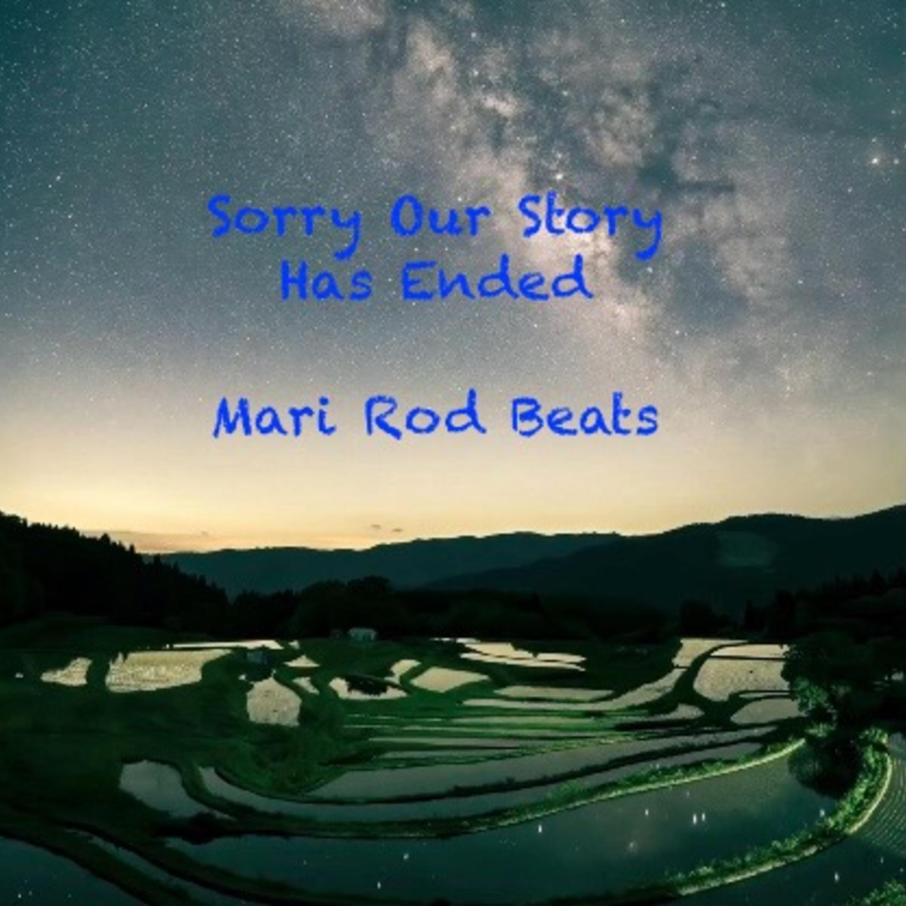 Sorry Our Story Has Ended artwork