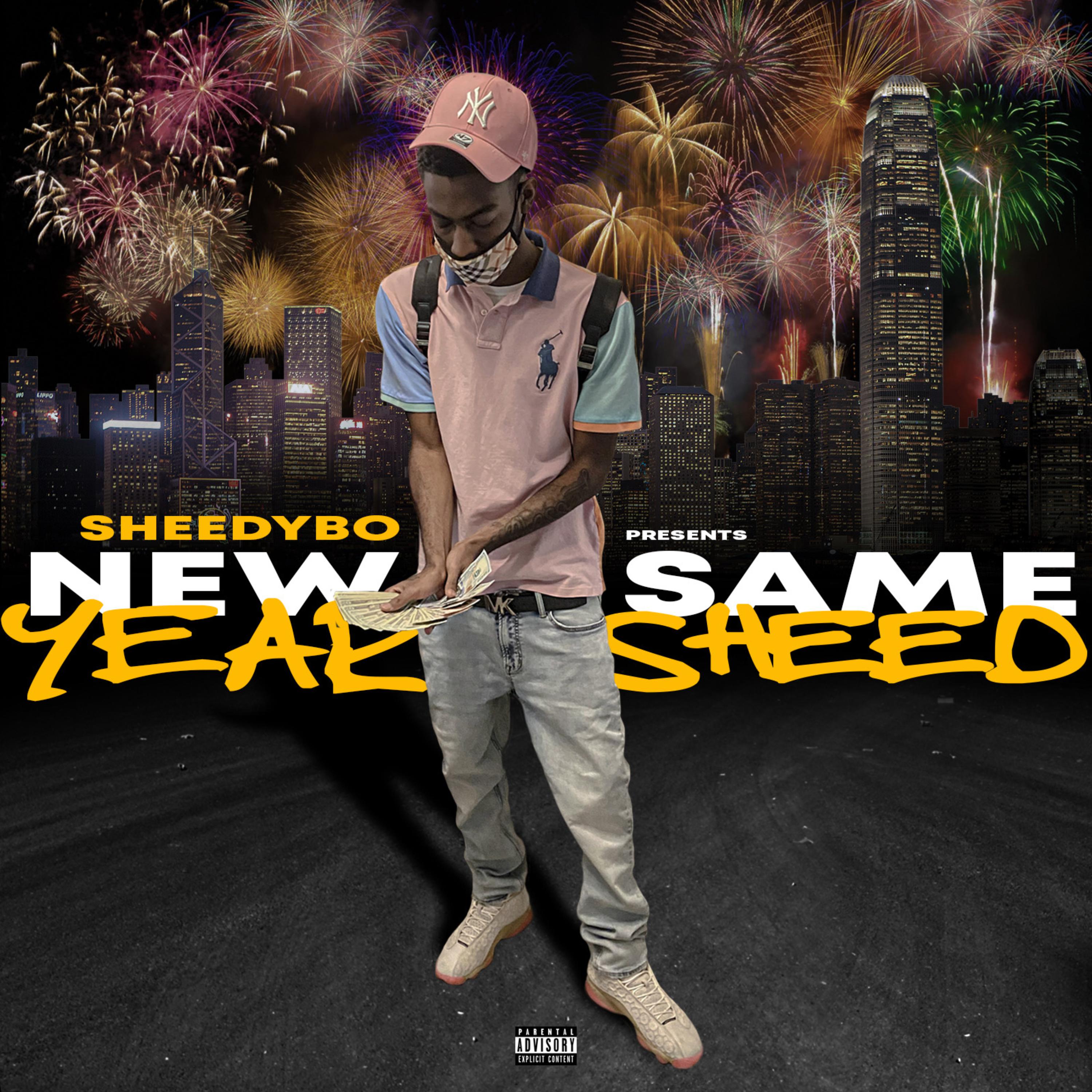 New Year Same Sheed by SheedyBo cover art
