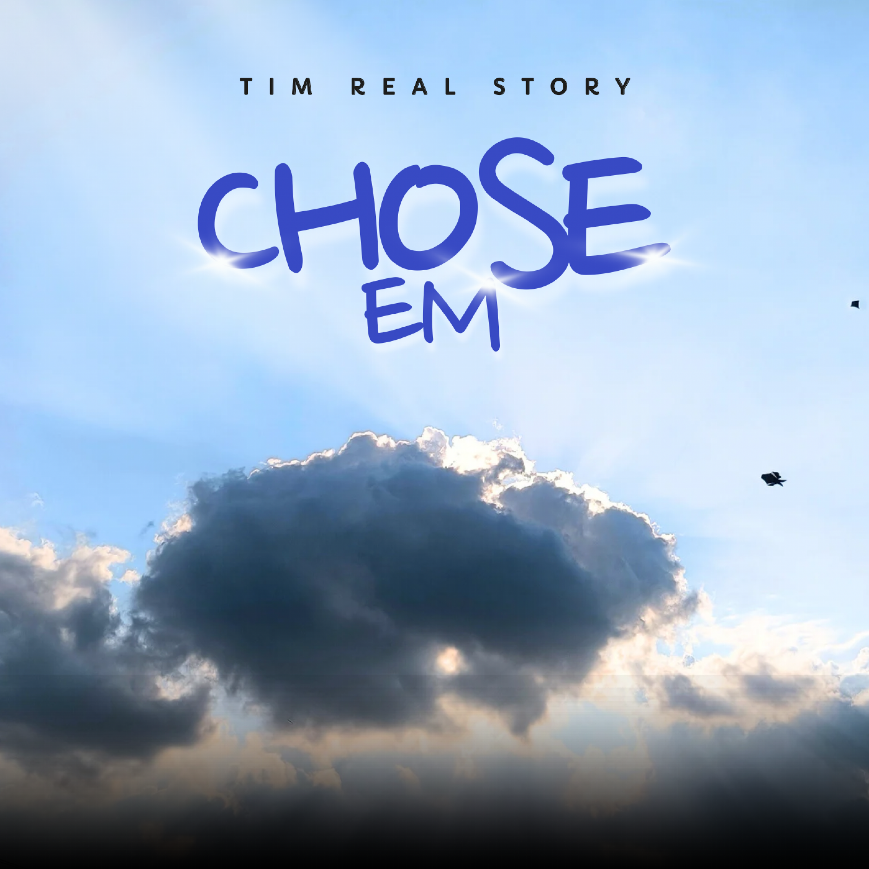 Chose Em artwork