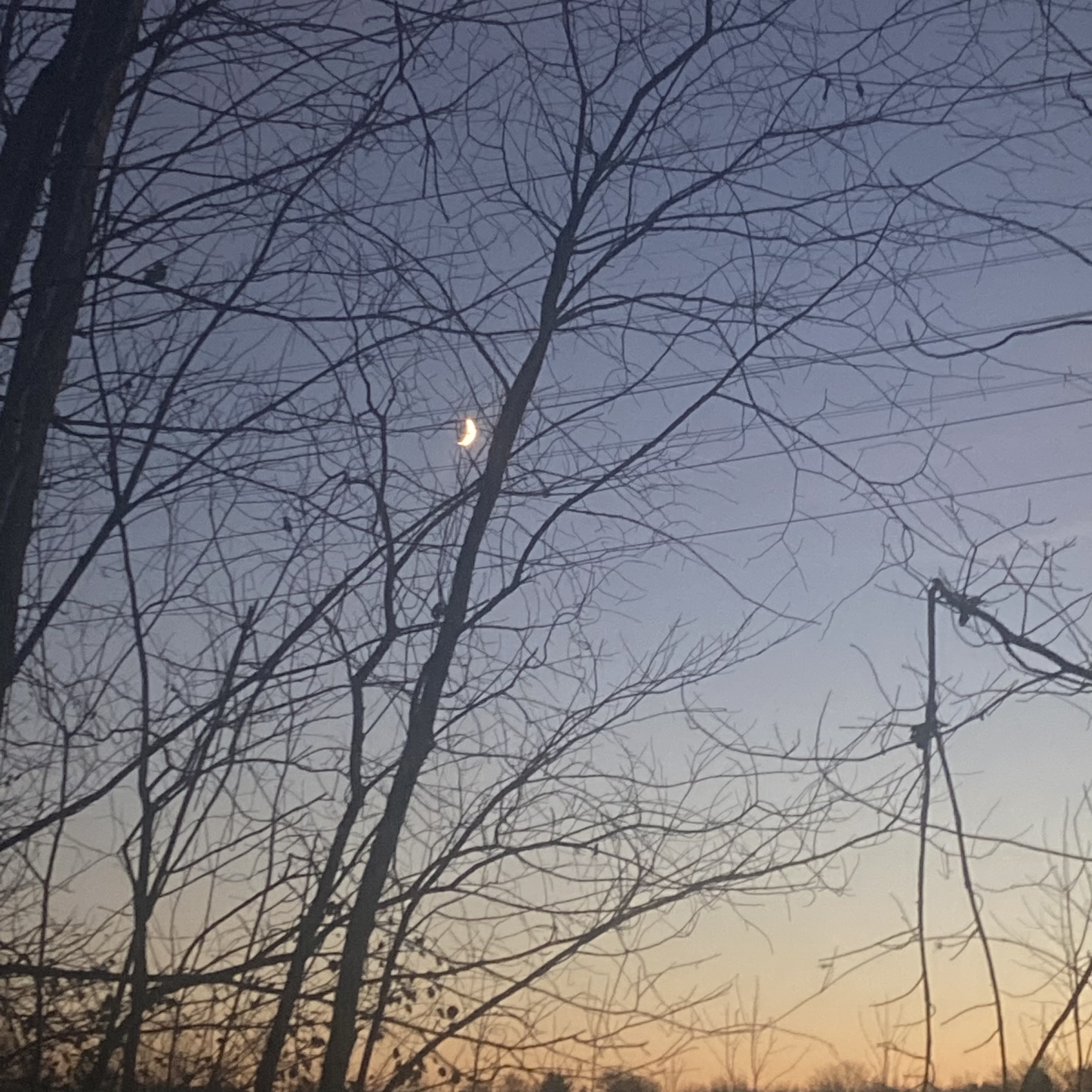 Gold Tooth (live) artwork