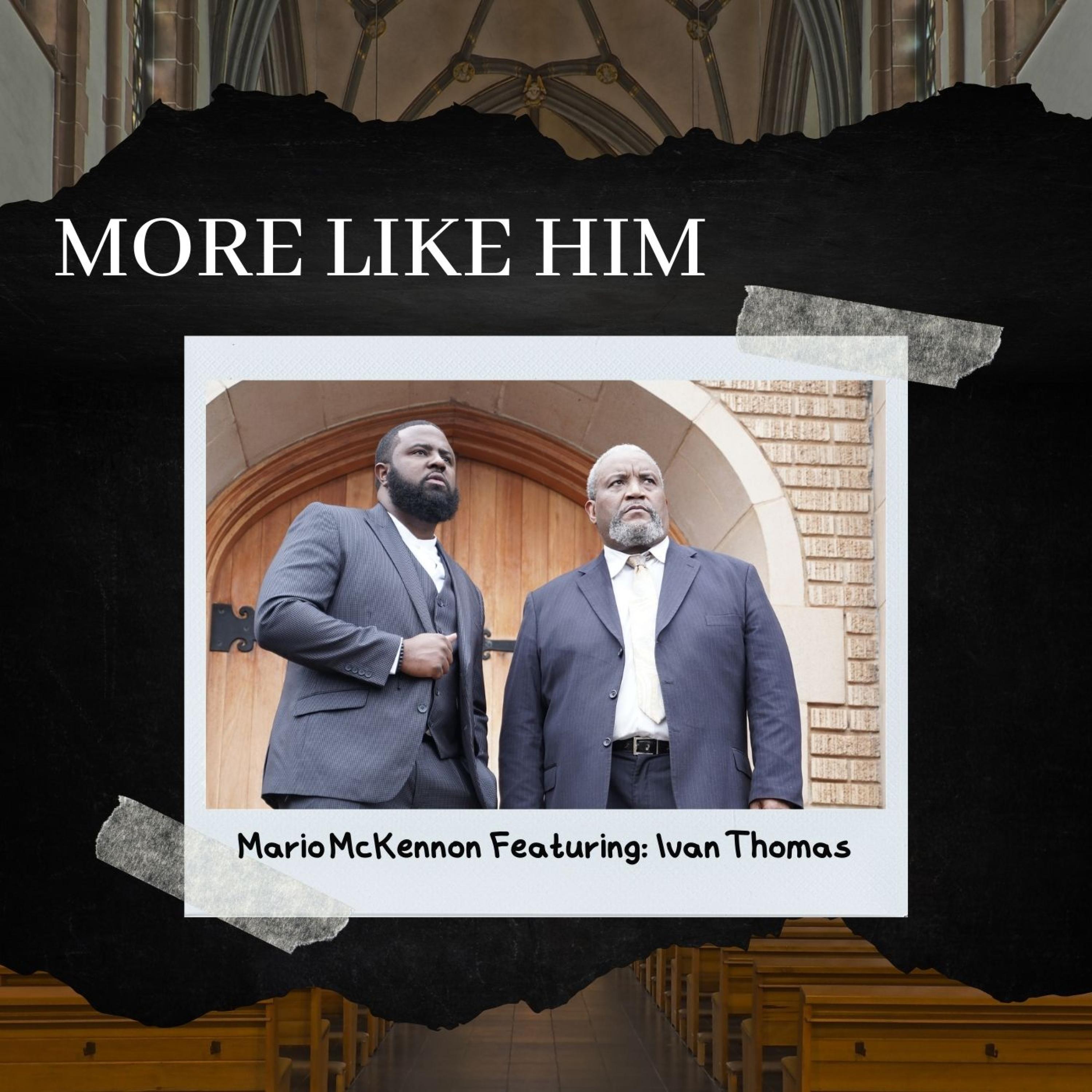 More Like Him artwork