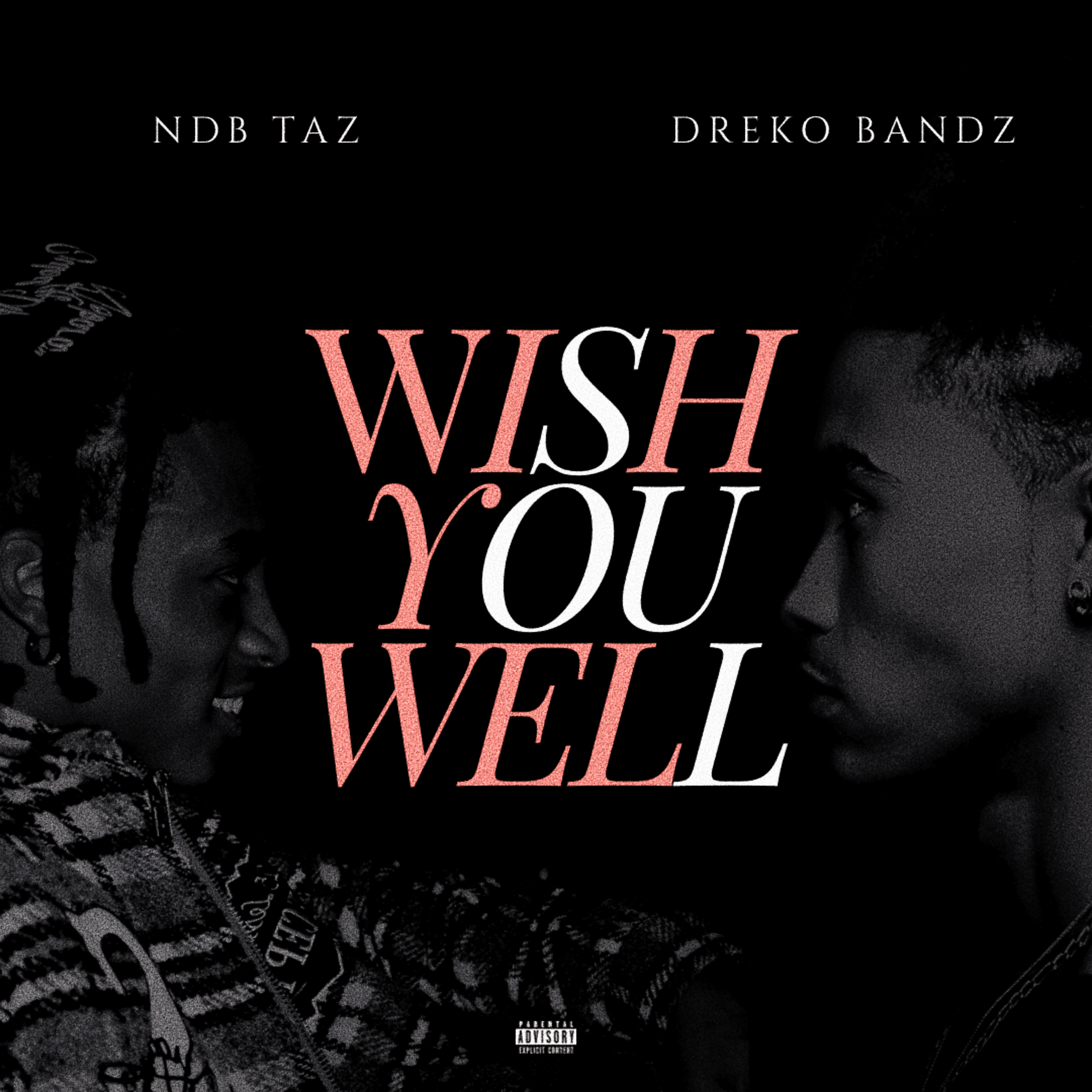 Wish You Well artwork