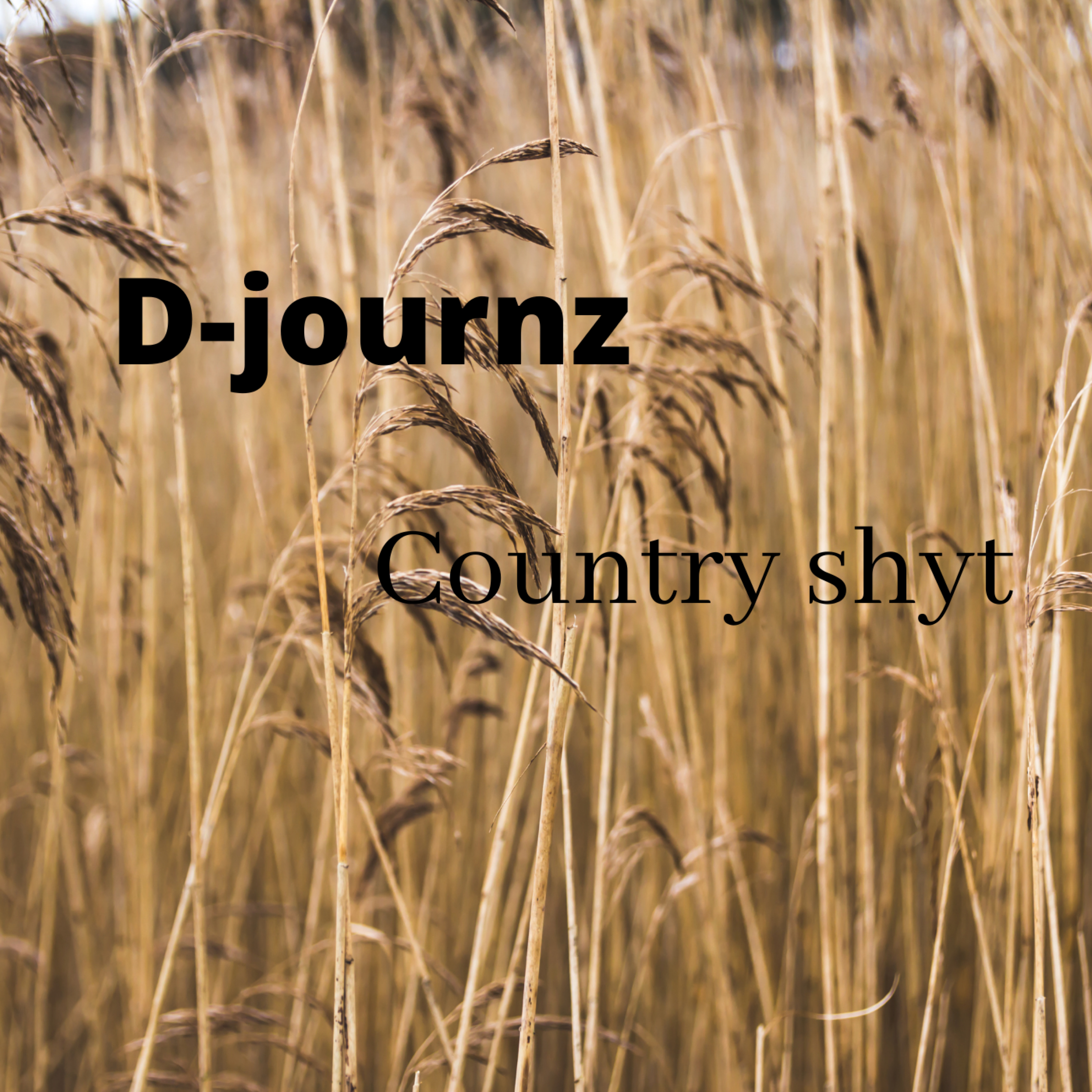 Country Shyt artwork