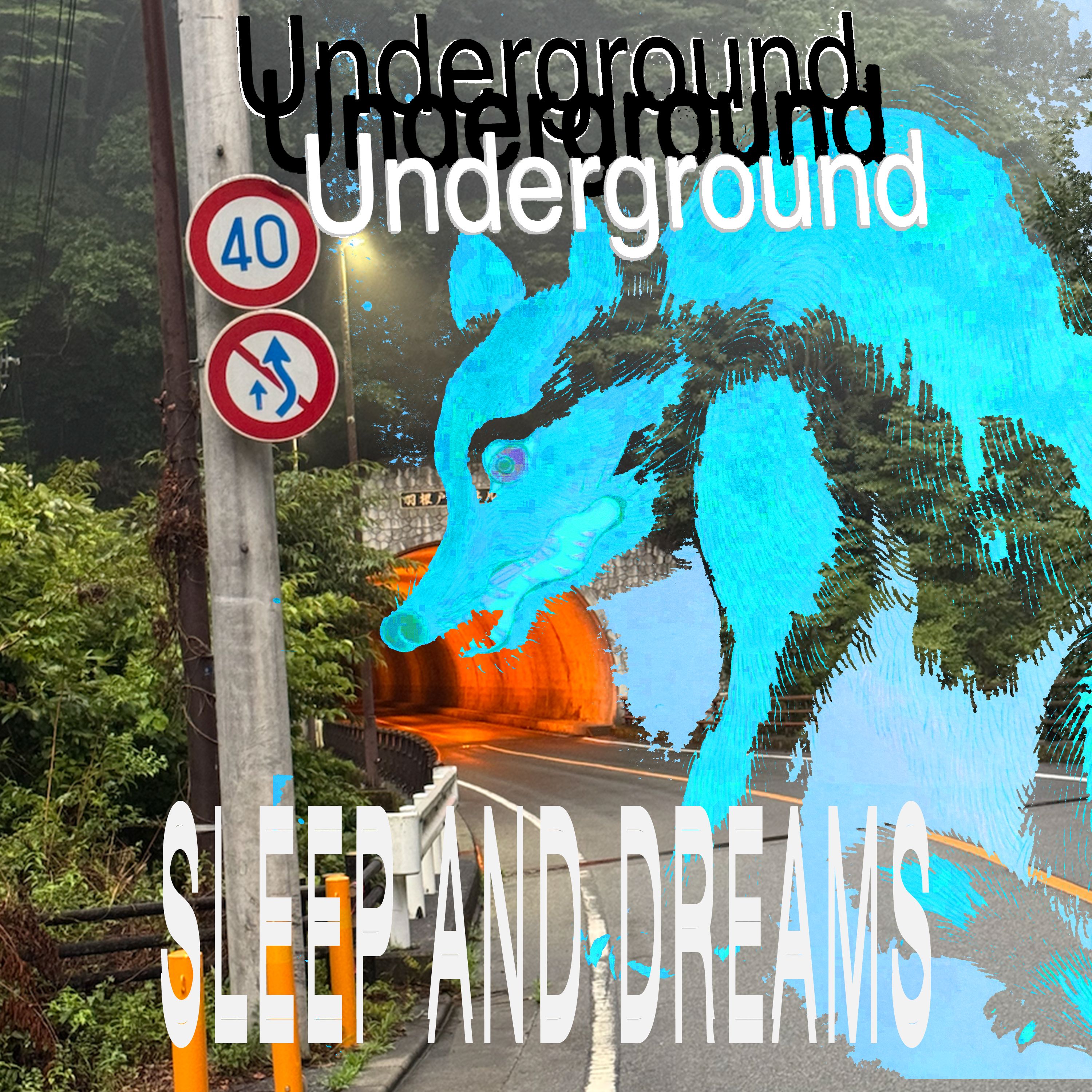 Sleep and Dreams artwork