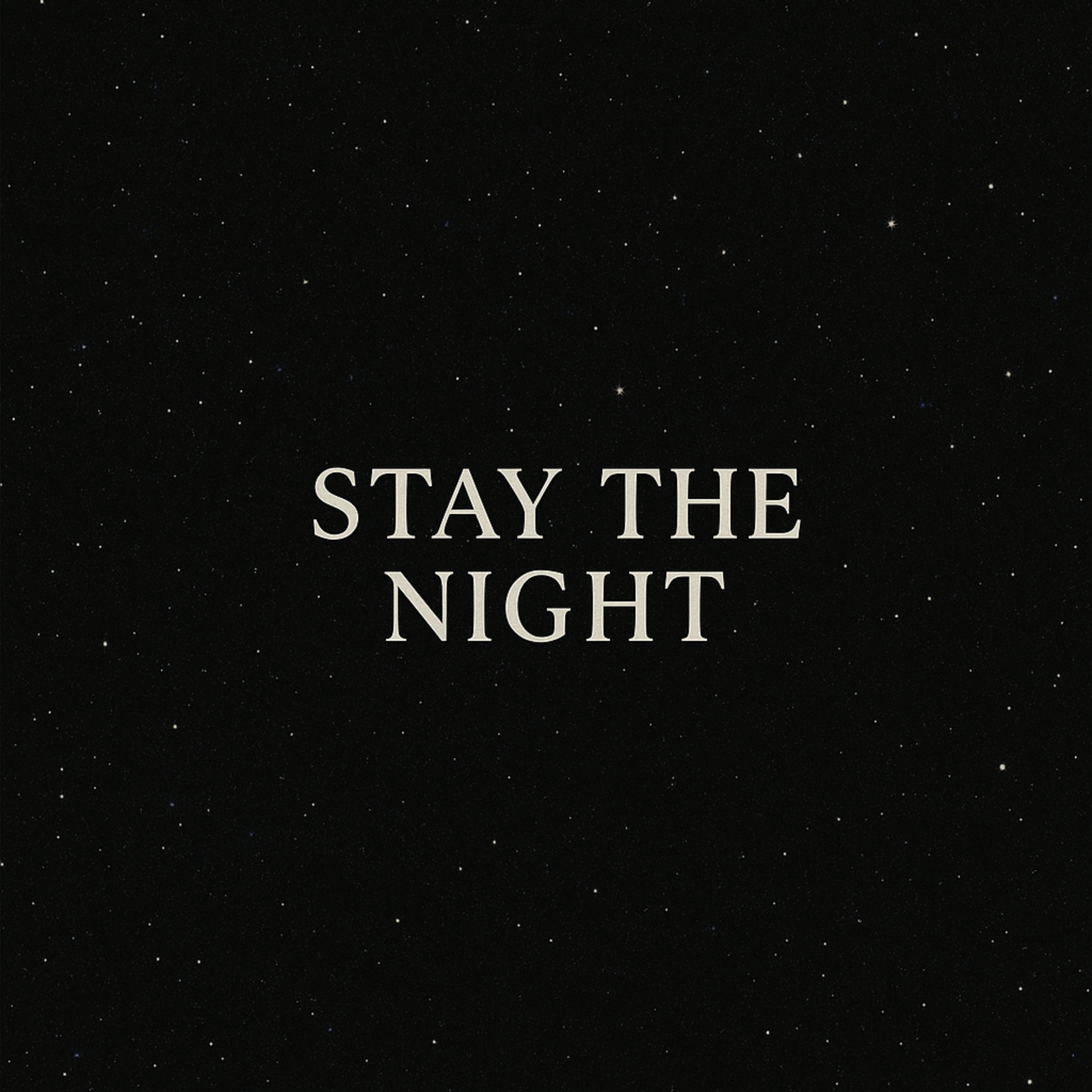 Stay The Night artwork