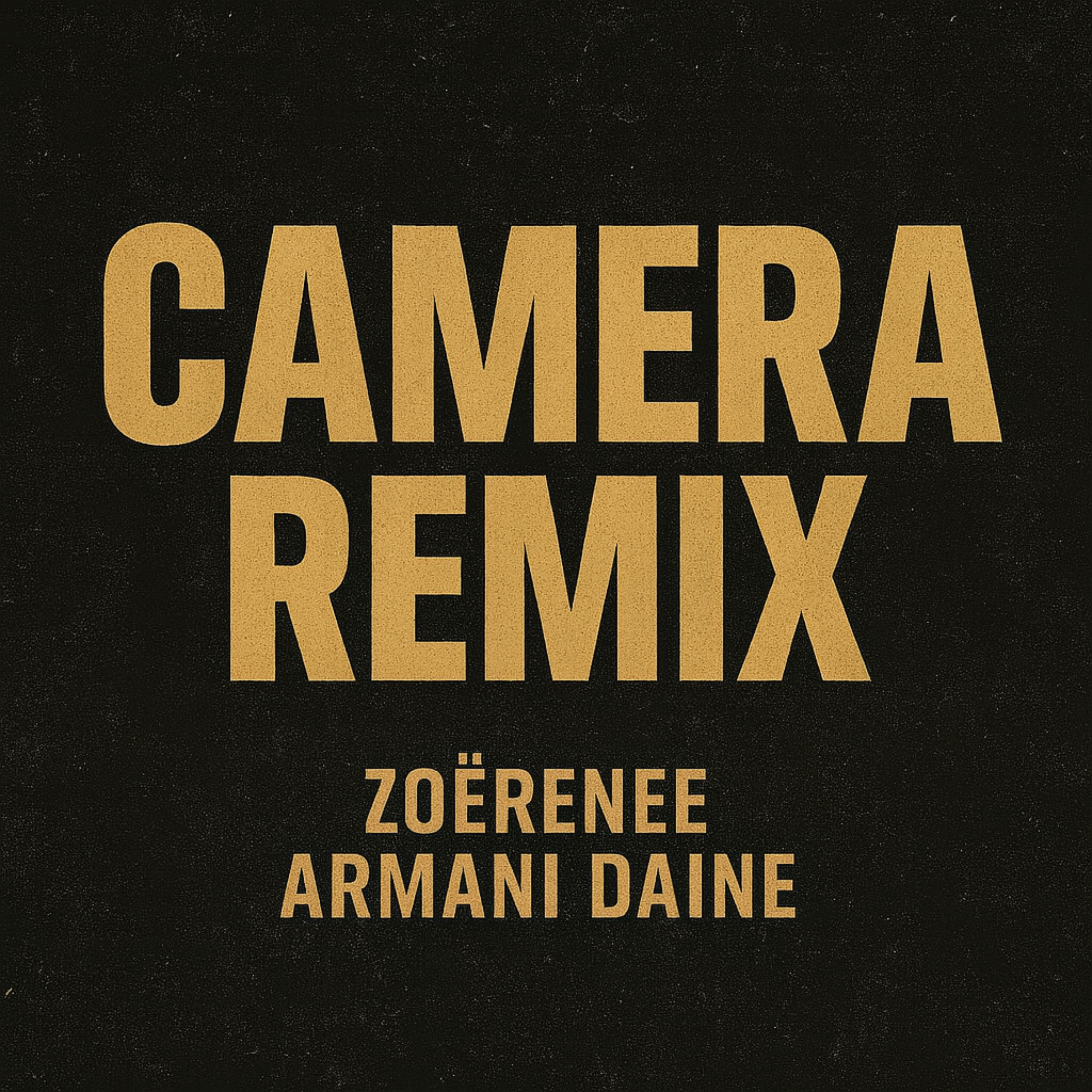 CAMERA (REMIX) artwork