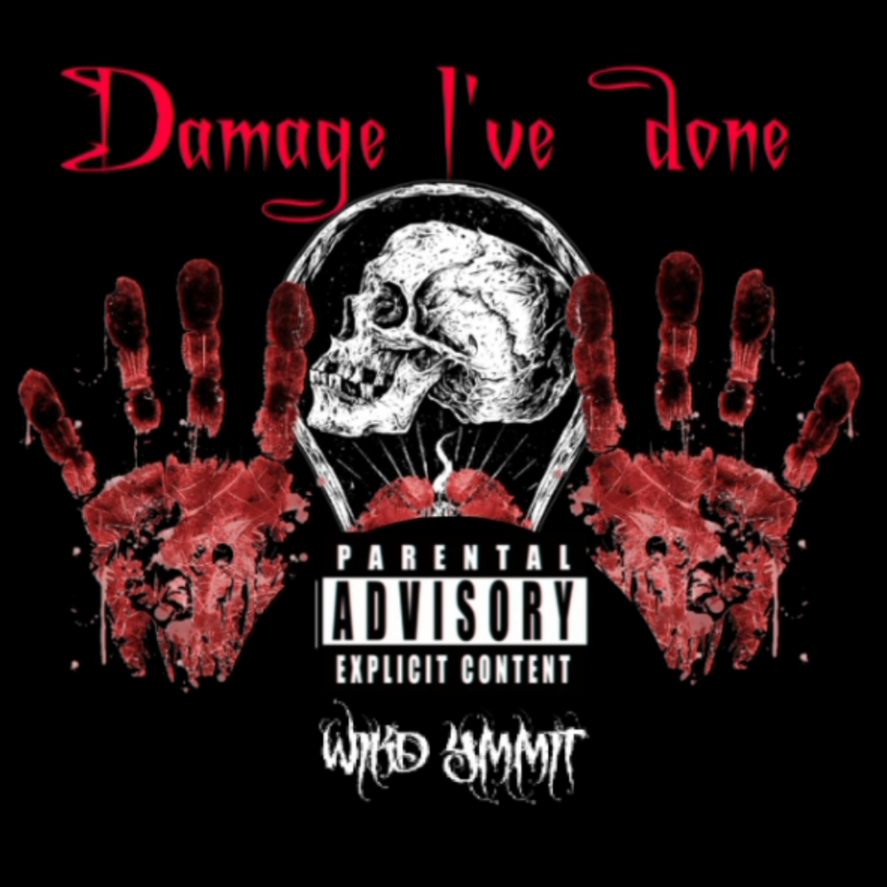 Damage I've done  by Wikd Ymmit cover art