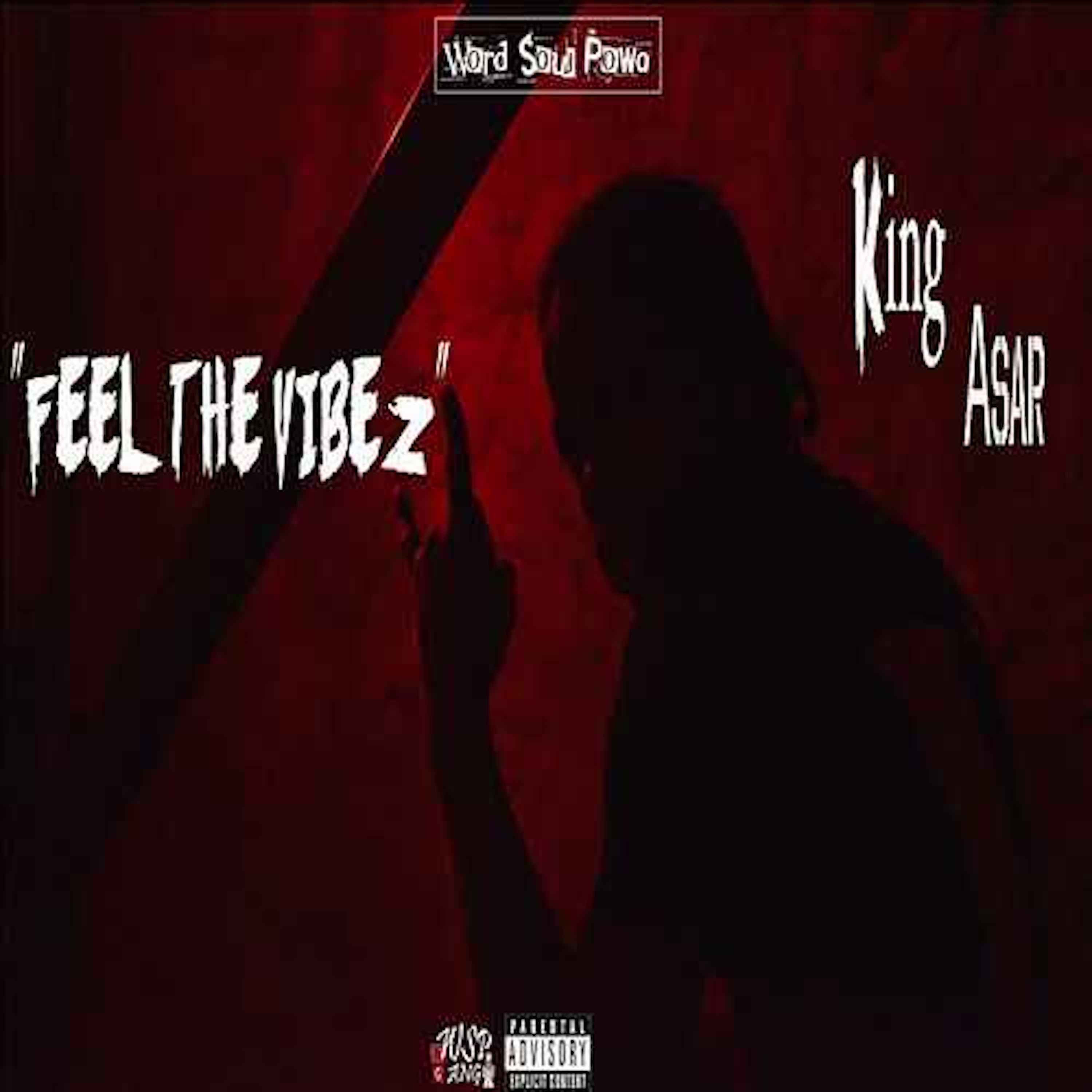 Feel The Vibez artwork