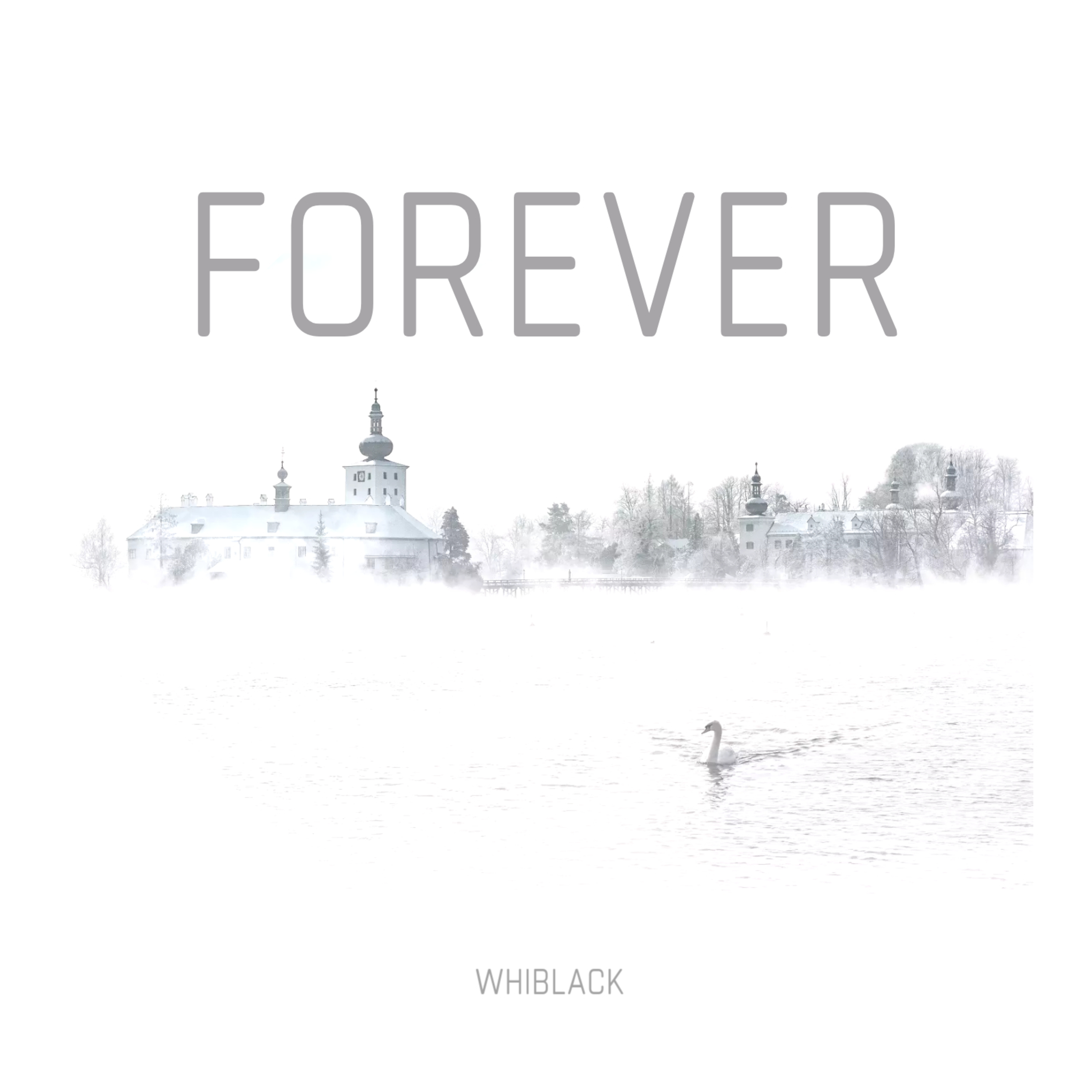 Forever artwork
