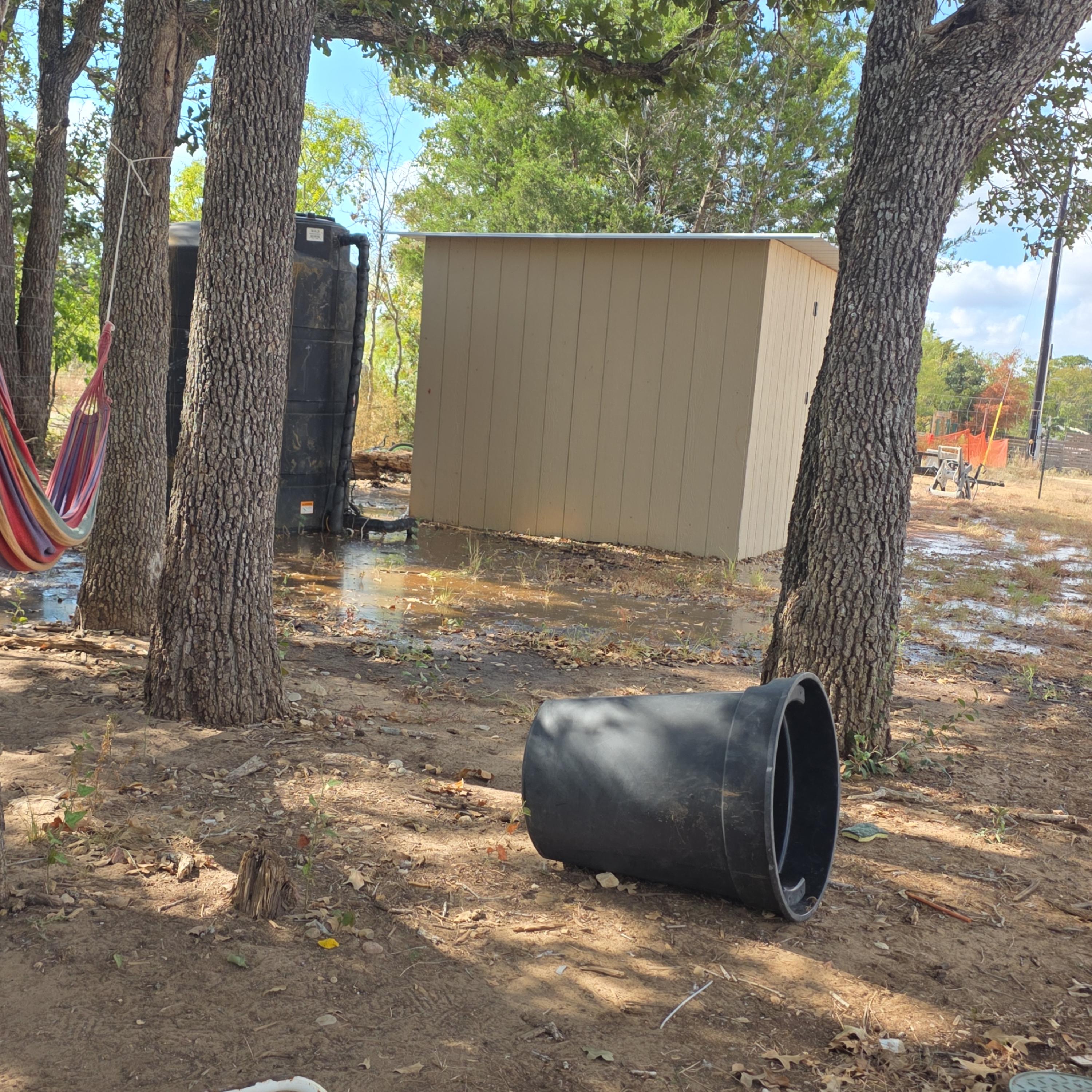 Versos al Viento artwork