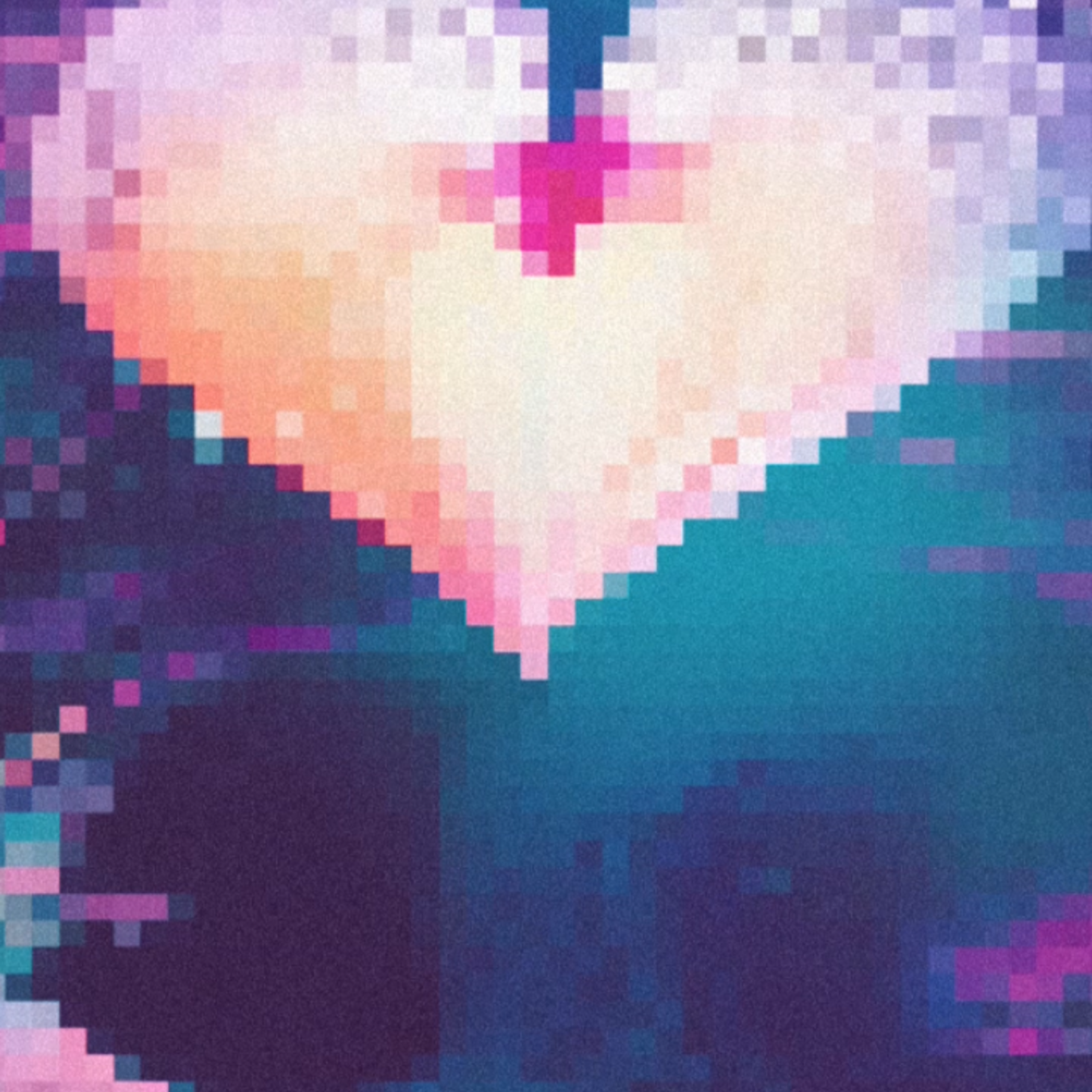 Wonderland artwork