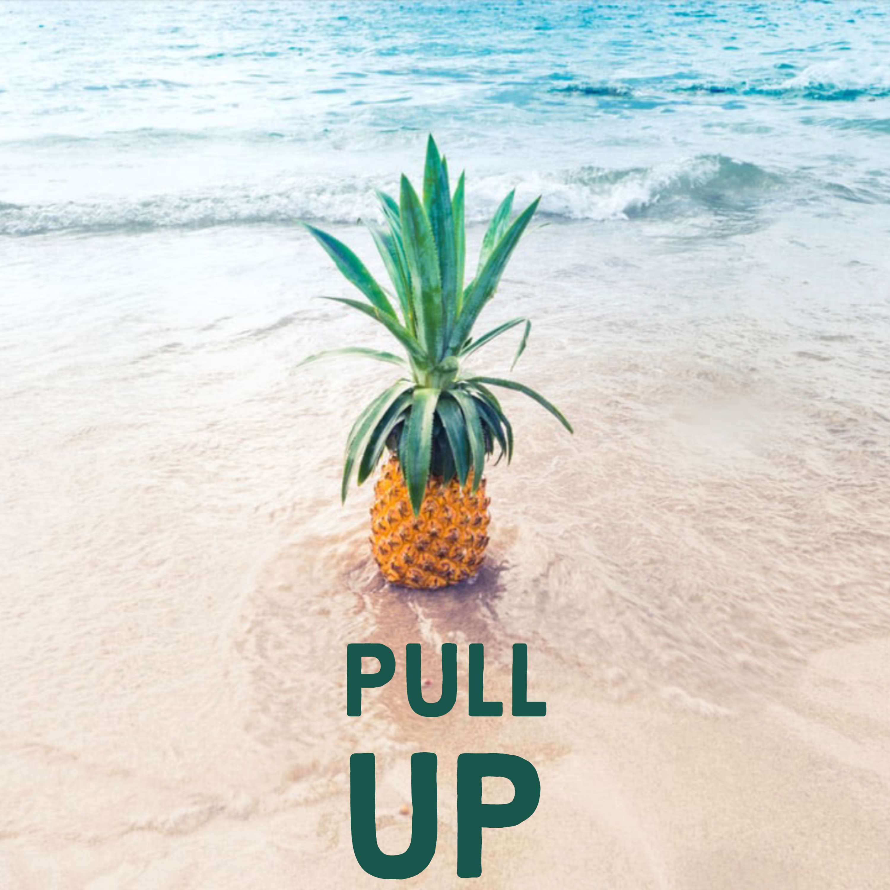 P U L L U P artwork