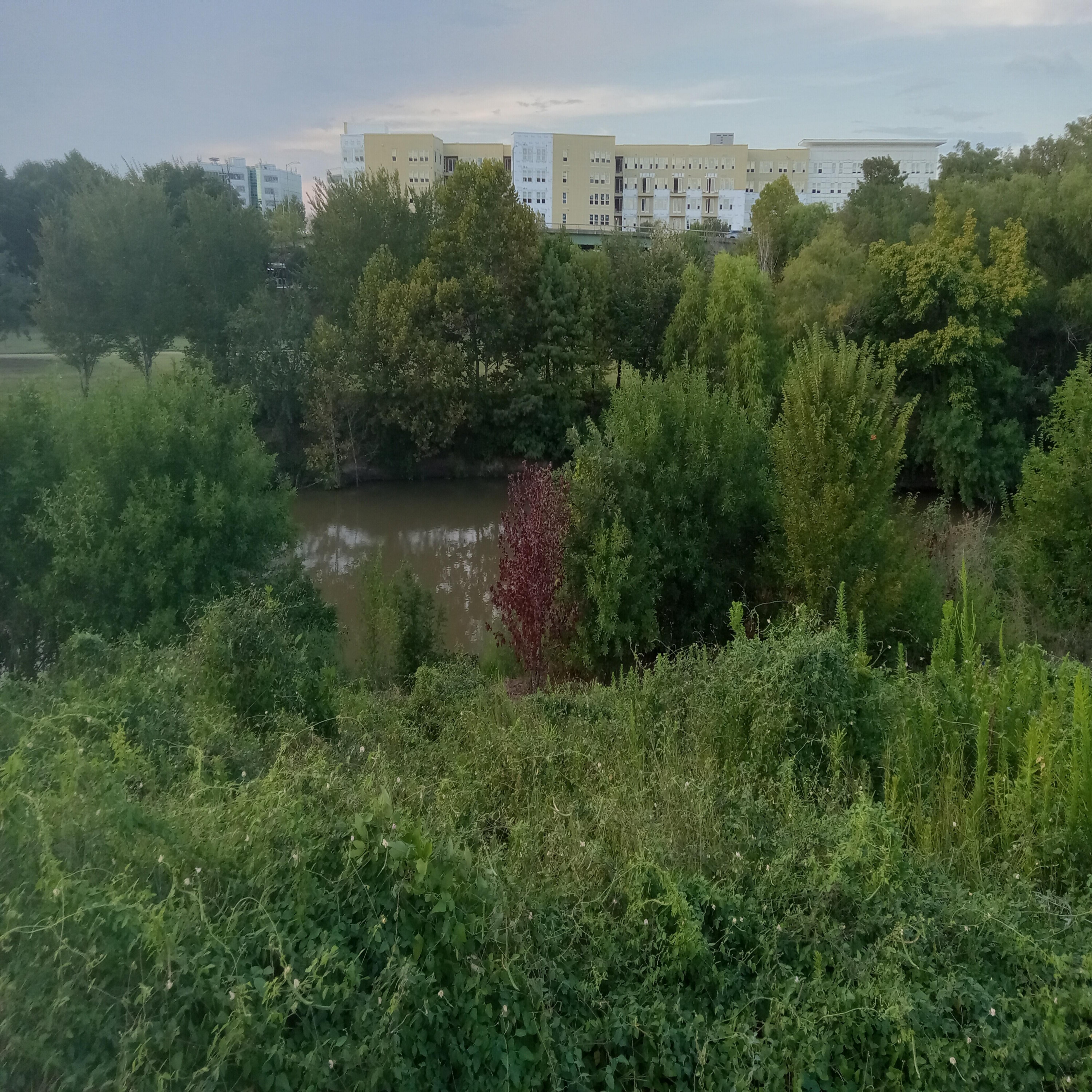 Astronomy and Botany artwork